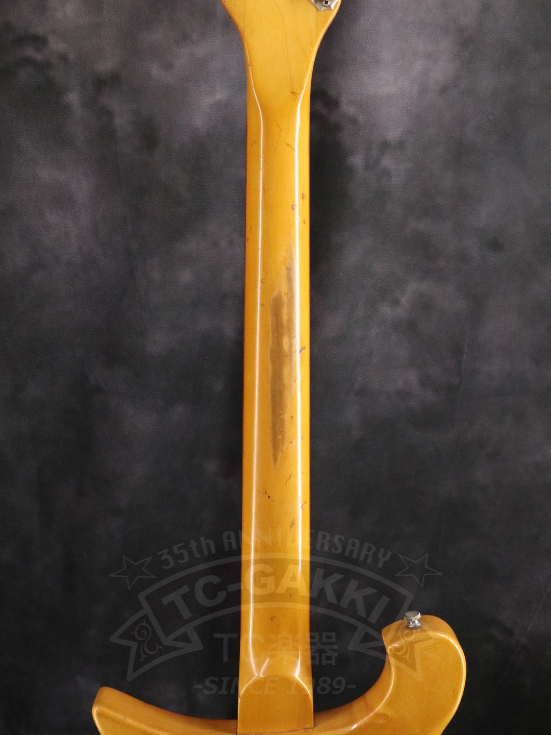 Rickenbacker 420