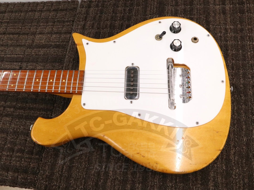 Rickenbacker 420