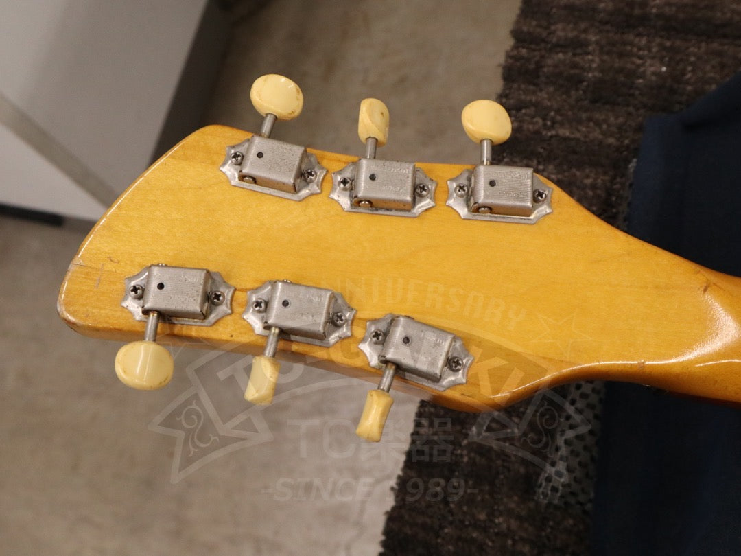Rickenbacker 420