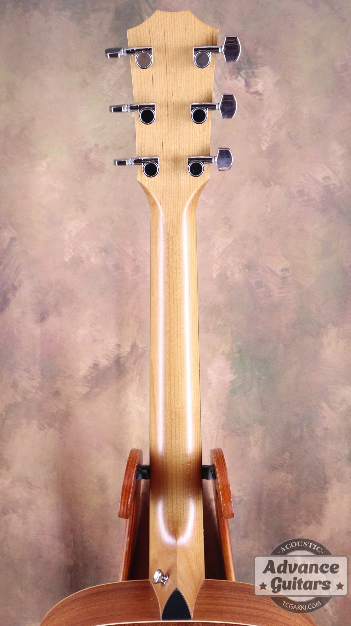 Taylor 2022年製 Academy 10
