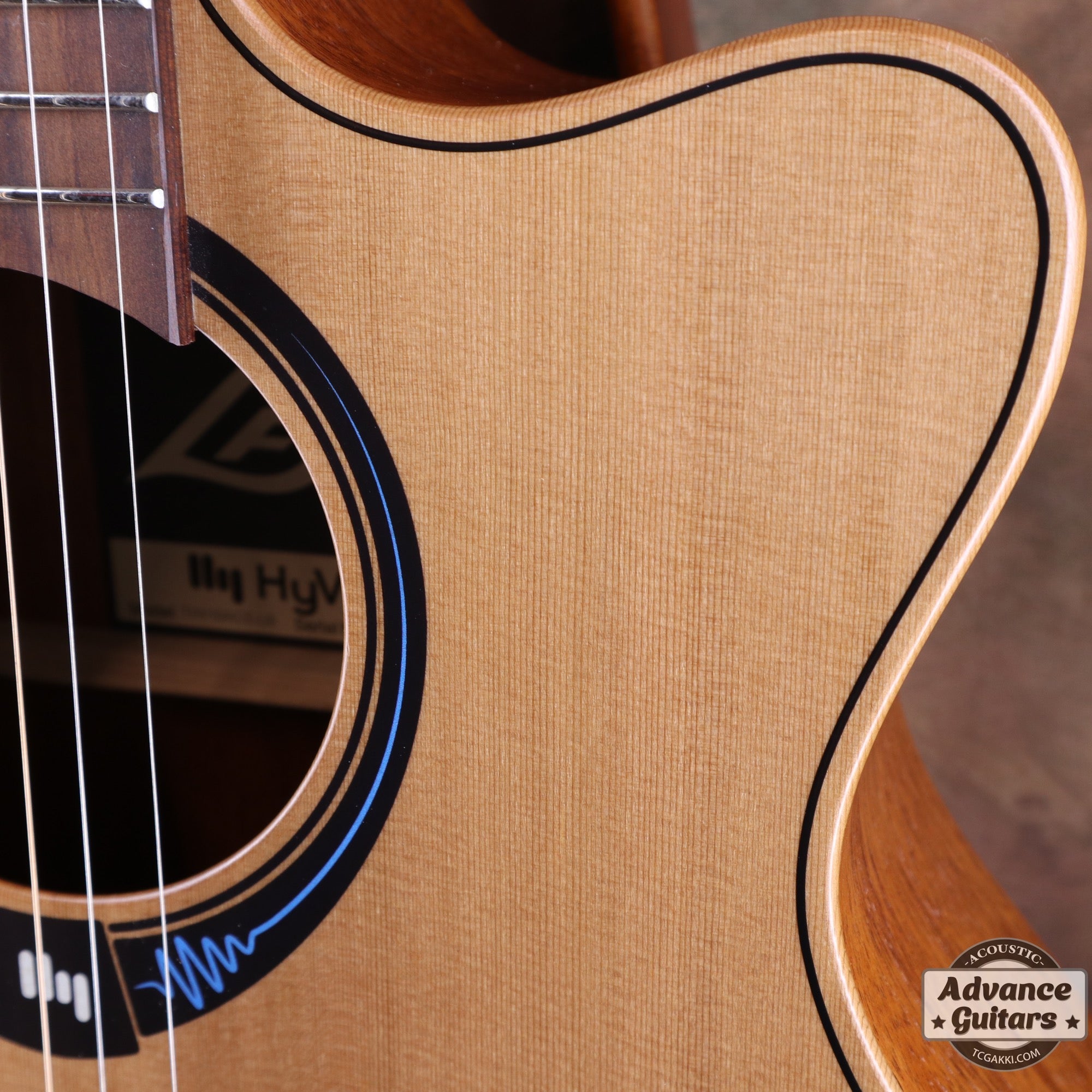LAG Guitars THV10ACE-LB