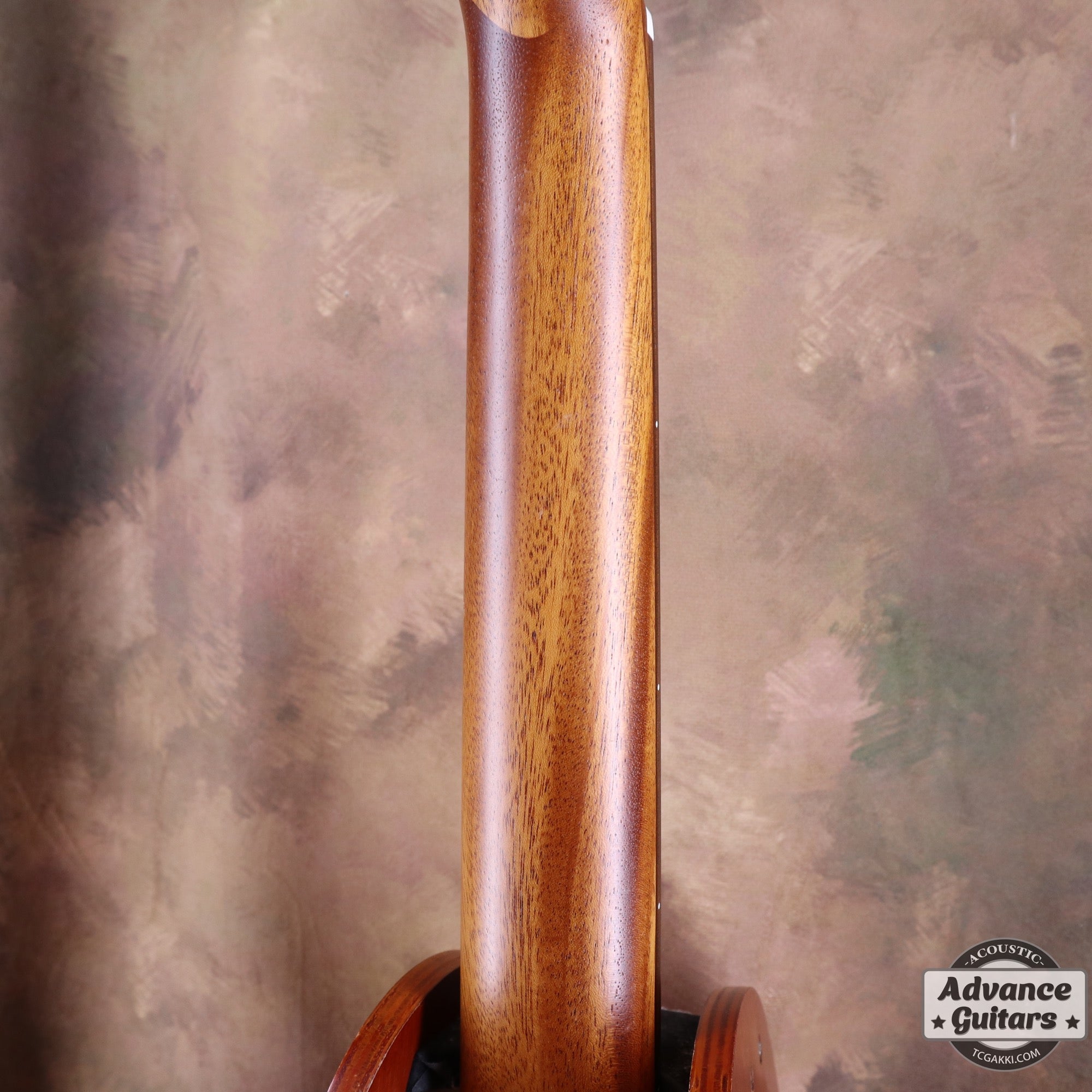 LAG Guitars THV10ACE-LB