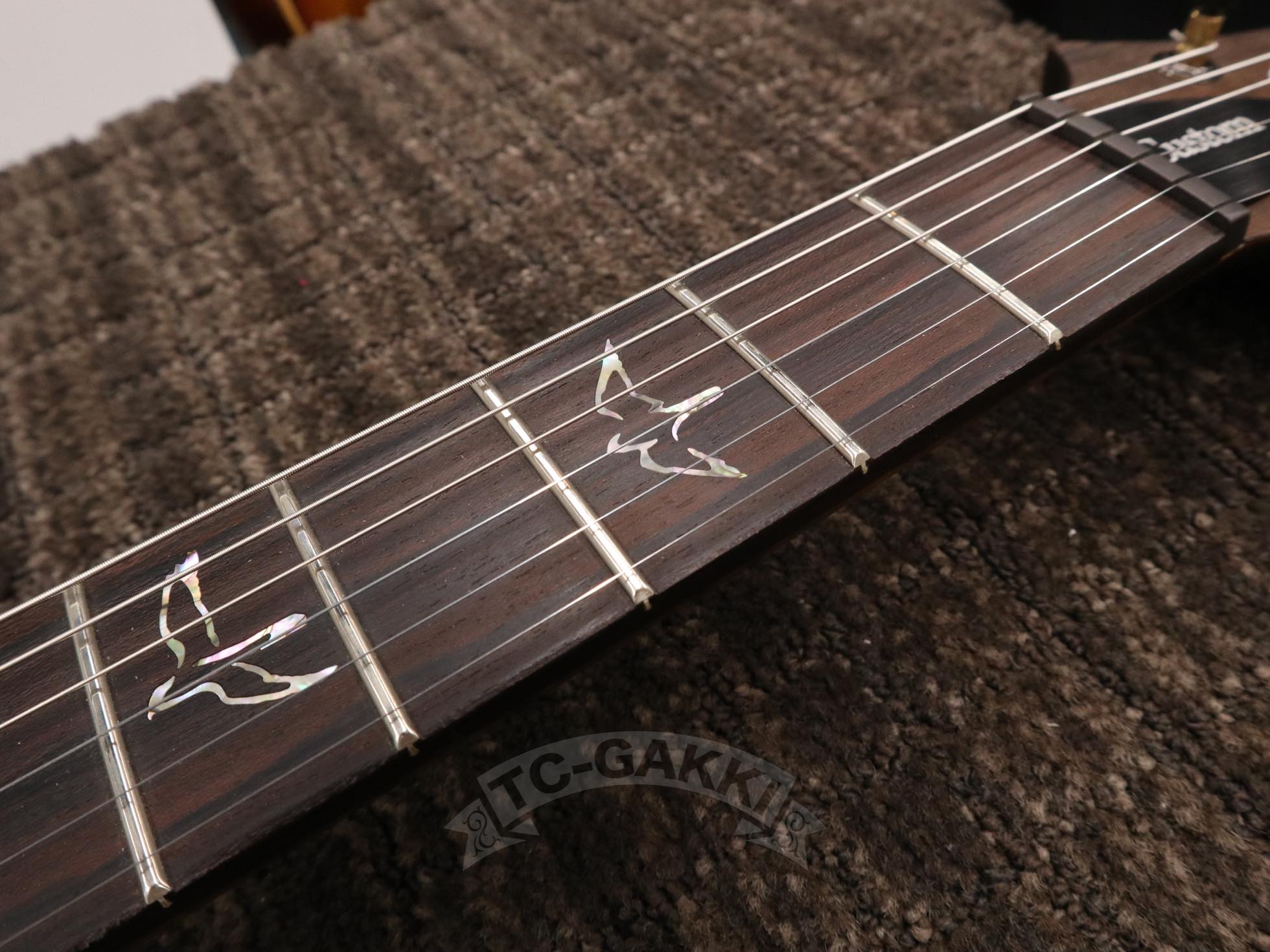 Paul Reed Smith 2025 Wood Library Custom 24-08 10Top