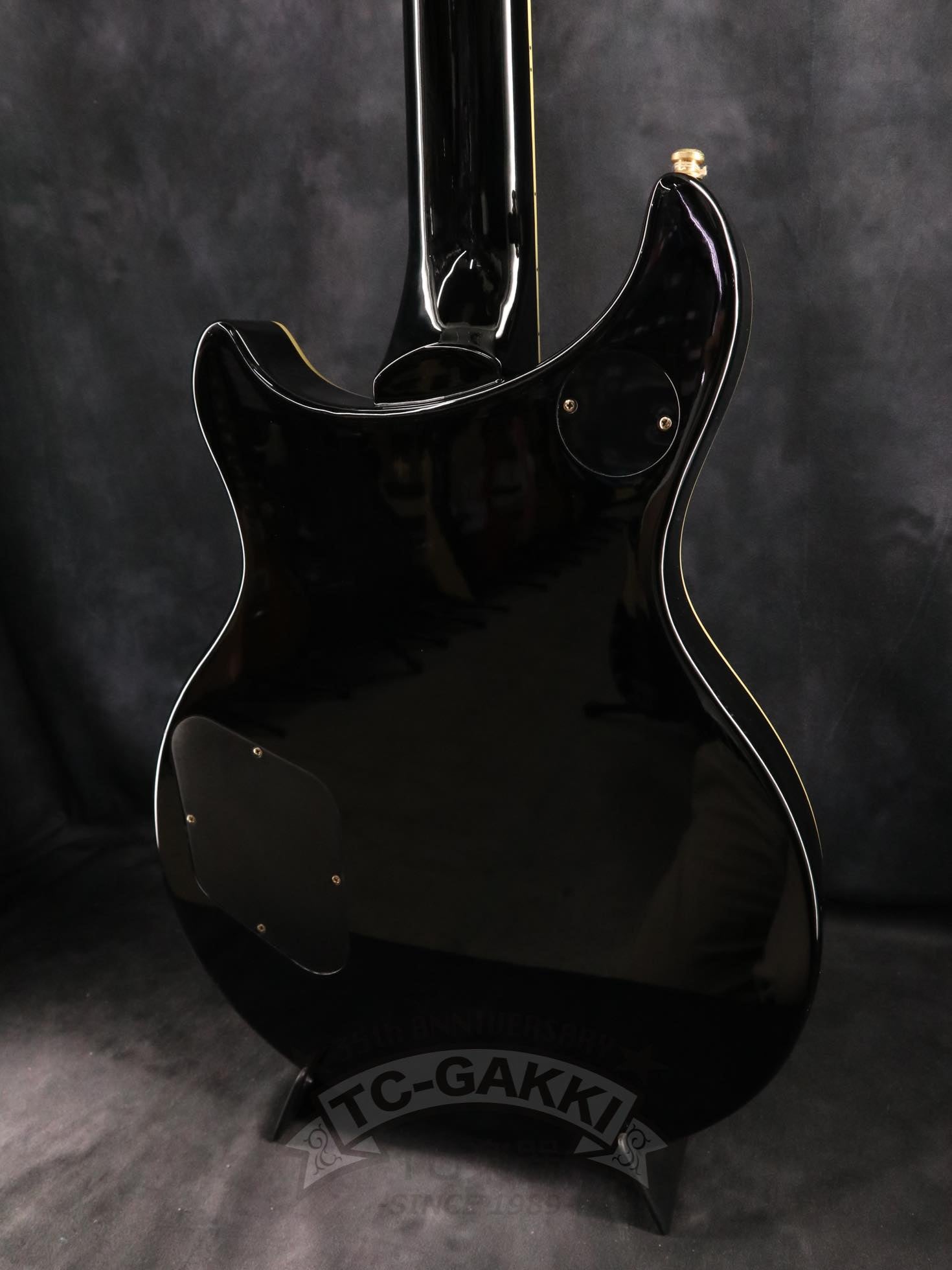Epiphone Custom Shop 2010 Tak Matsumoto DC Custom