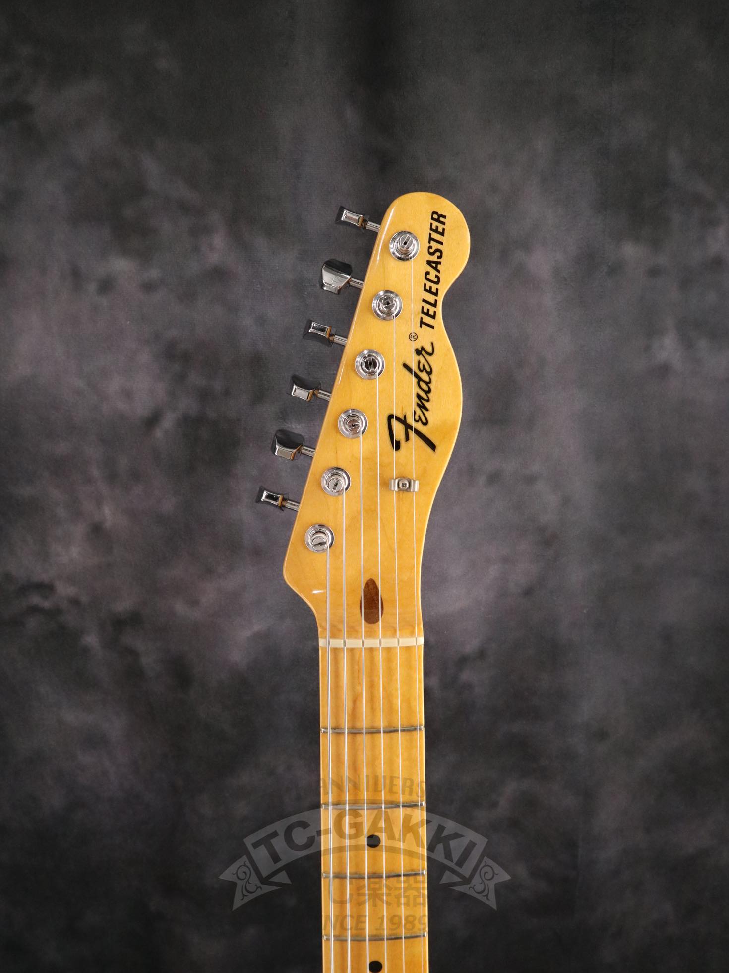 Fender USA FSR 69 Telecaster Thinline
