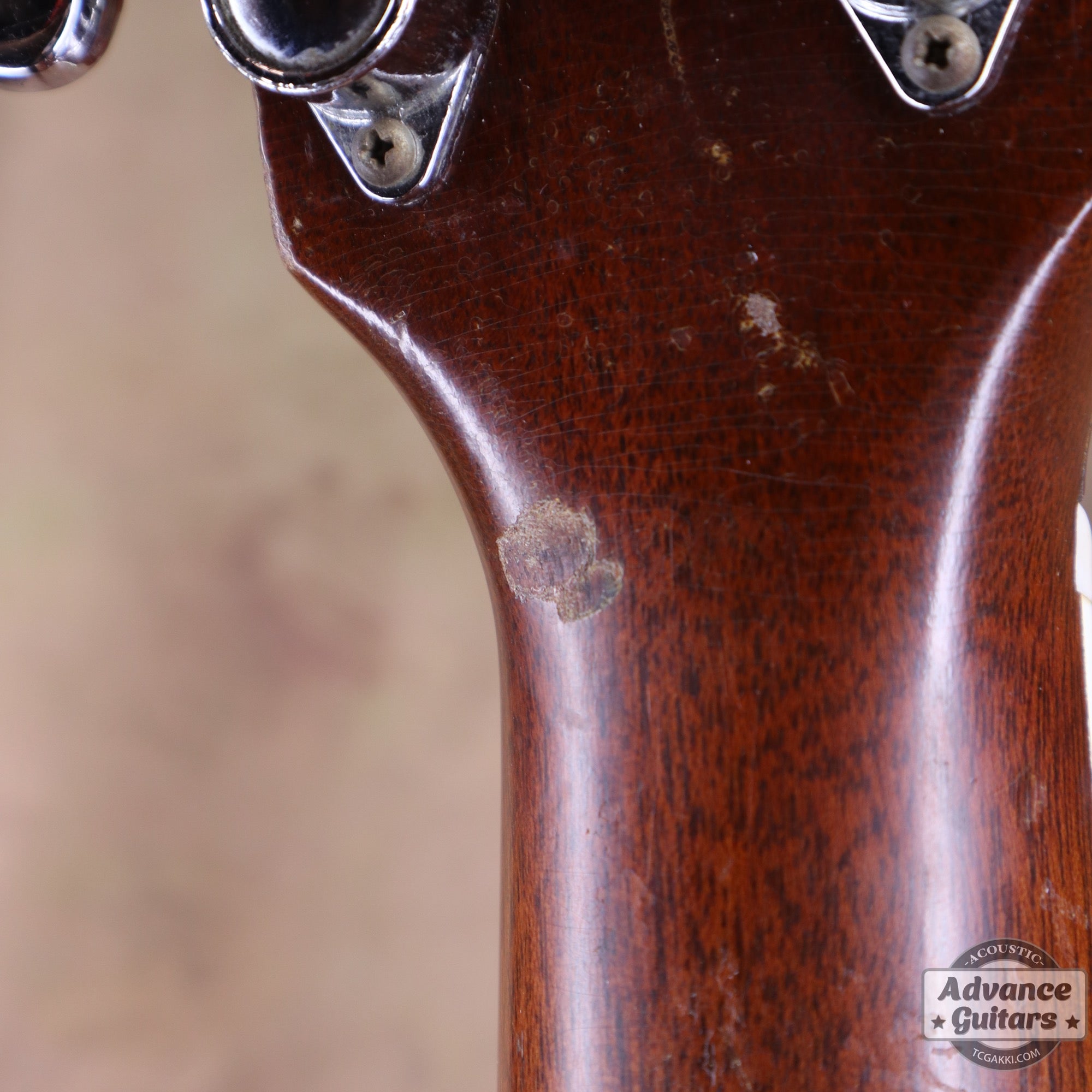 Martin 1973年製 D-35