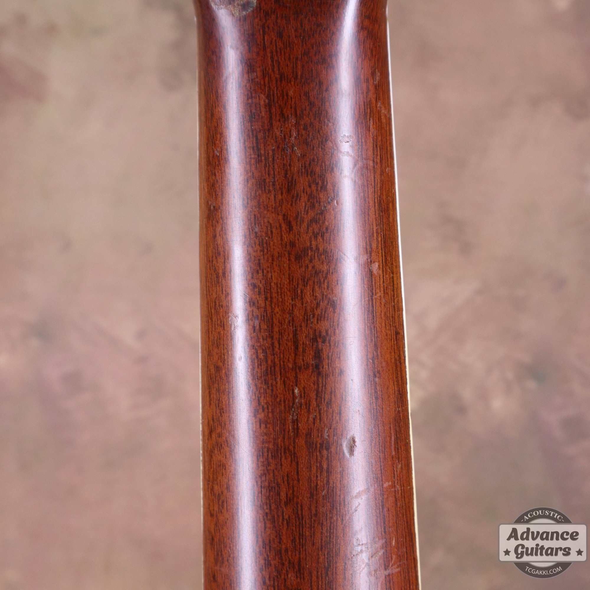 Martin 1973年製 D-35