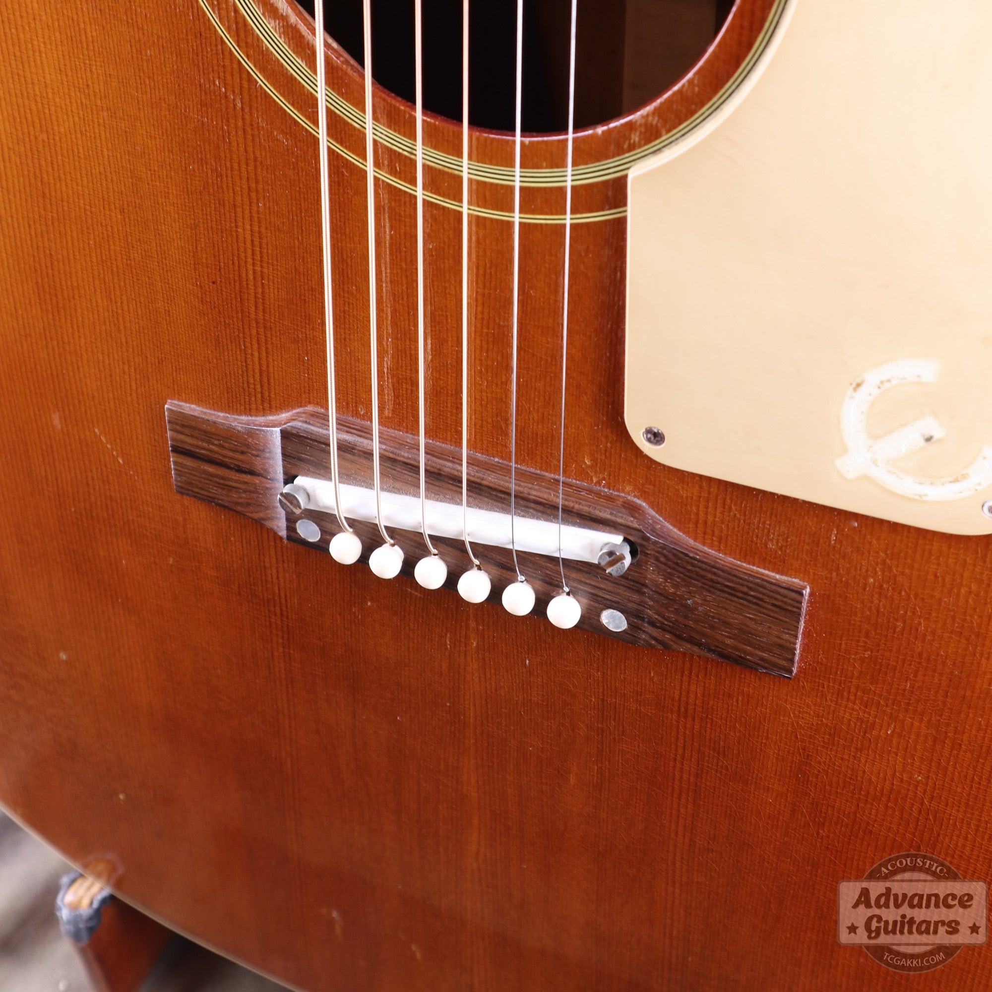 Epiphone 1968年製 FT-79