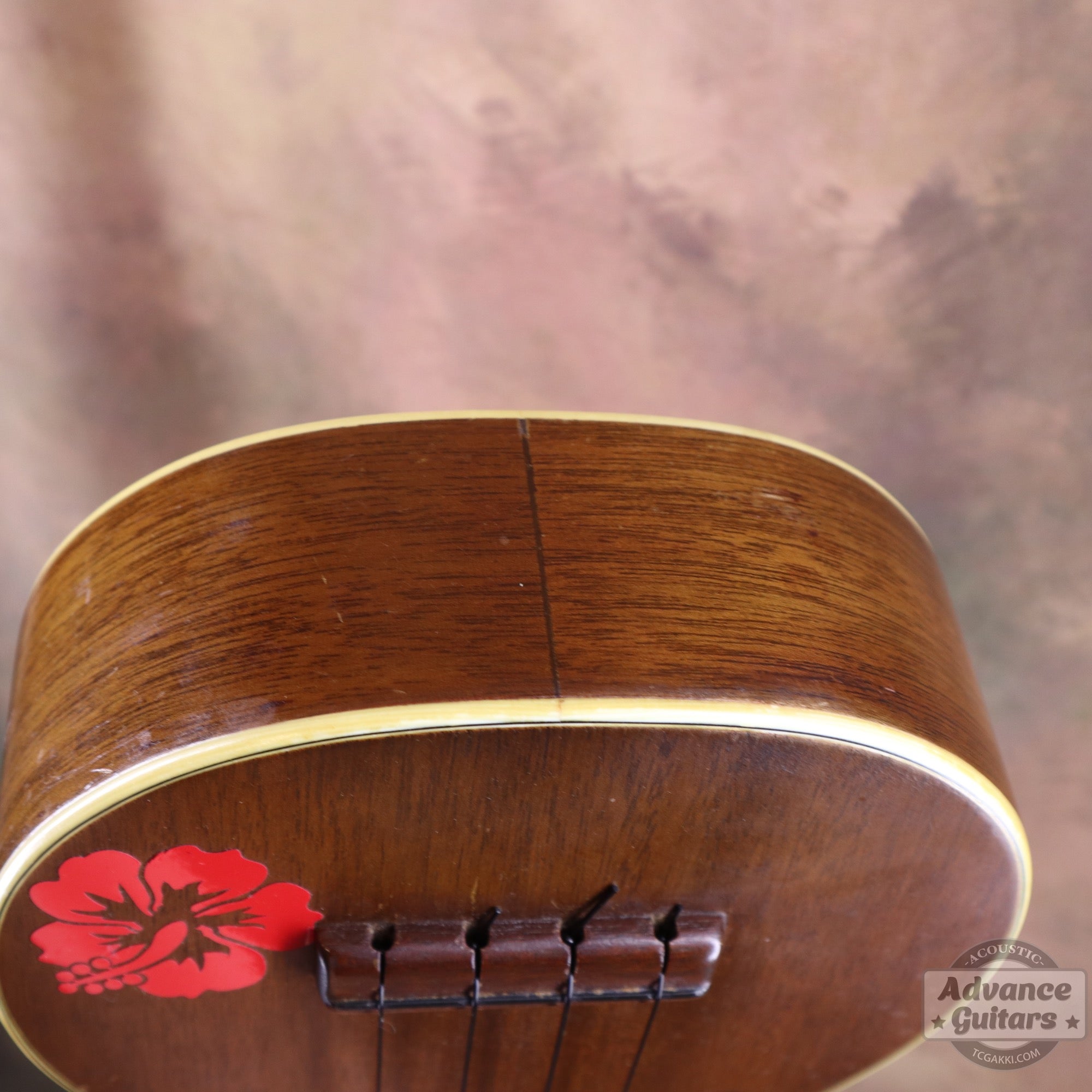 Martin 1956〜1961年製 Style-1