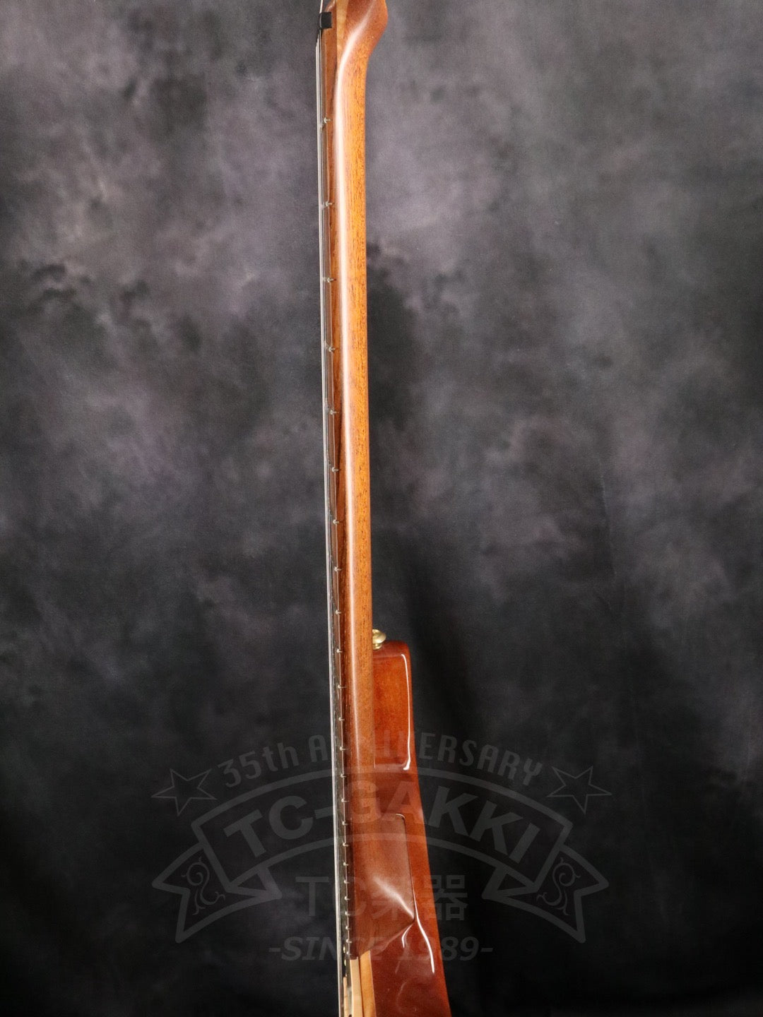 Brubaker Guitars B-II Custom