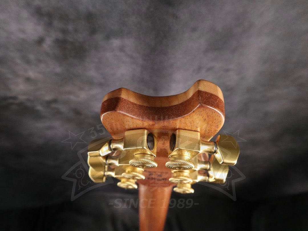 Brubaker Guitars B-II Custom