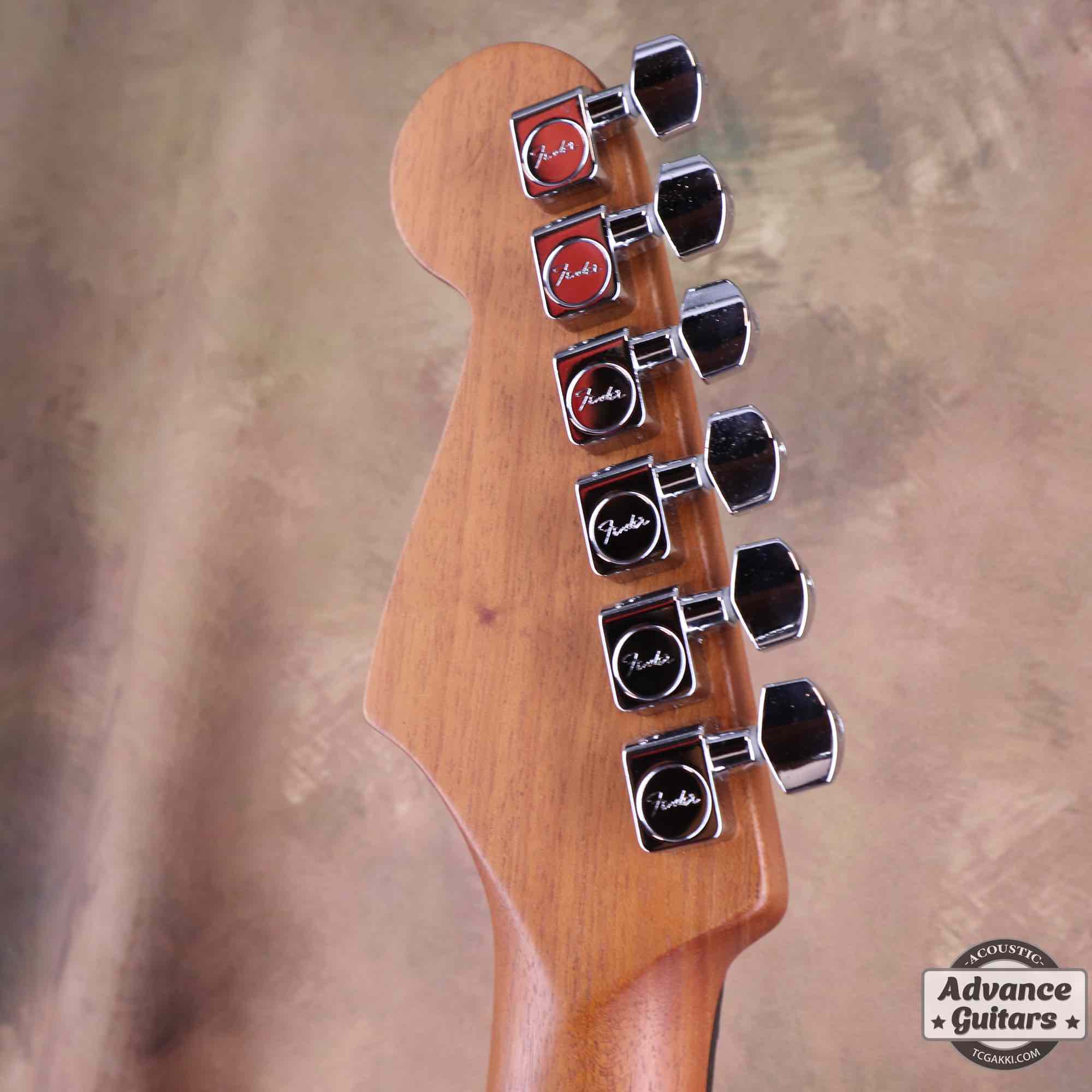 American Acoustasonic Stratocaster