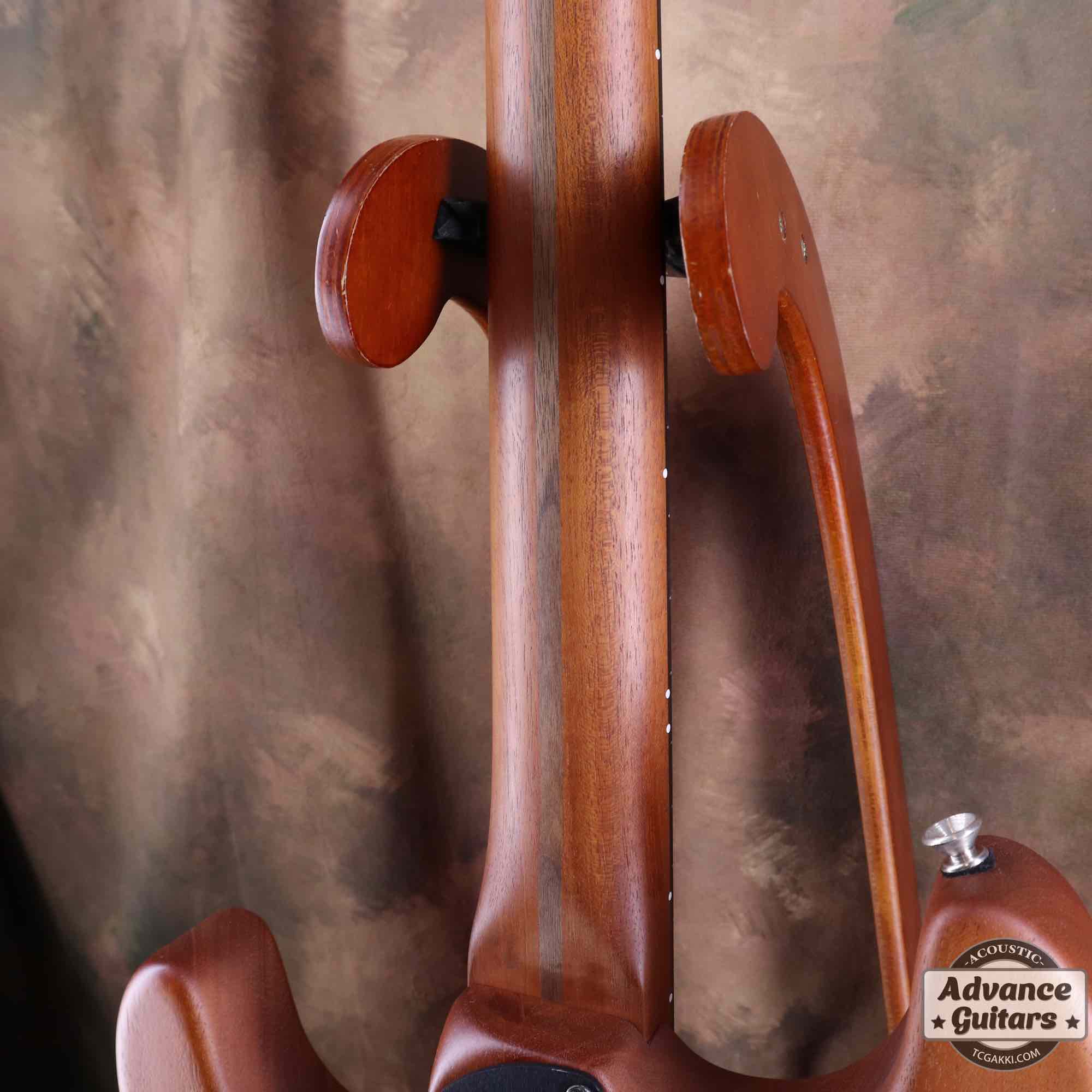 American Acoustasonic Stratocaster