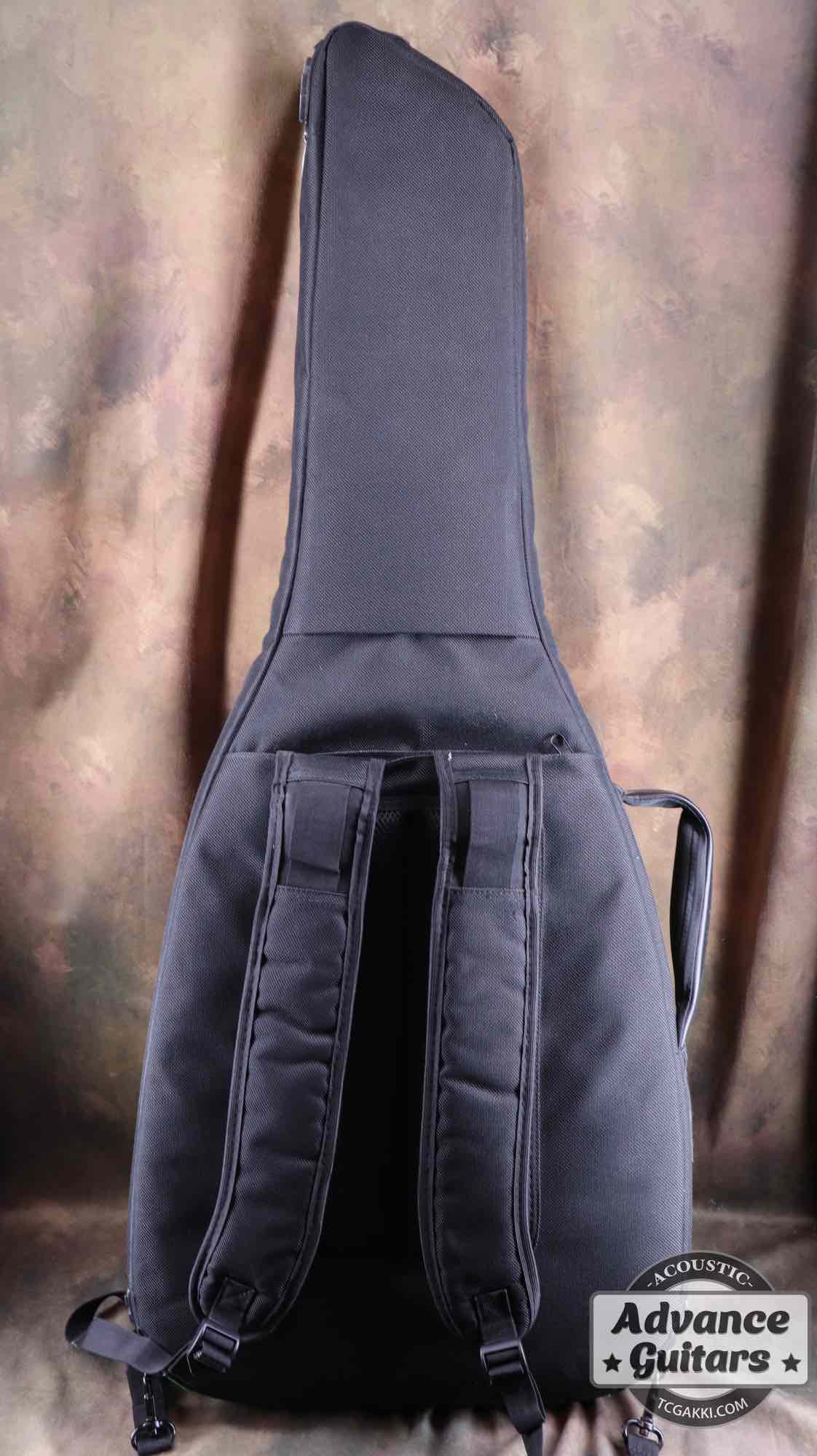 American Acoustasonic Stratocaster