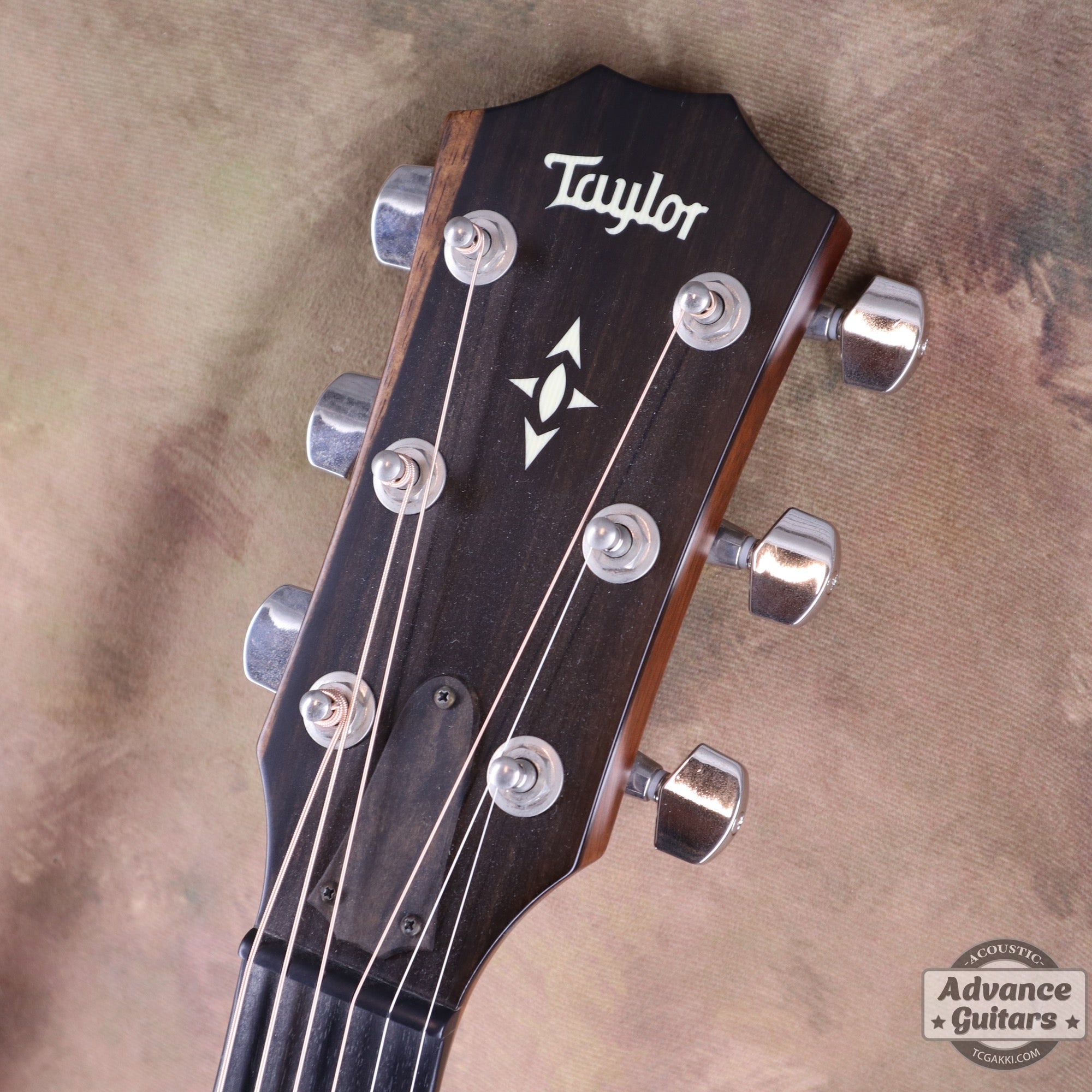 Taylor 2019年製 Builder’s Edition 517