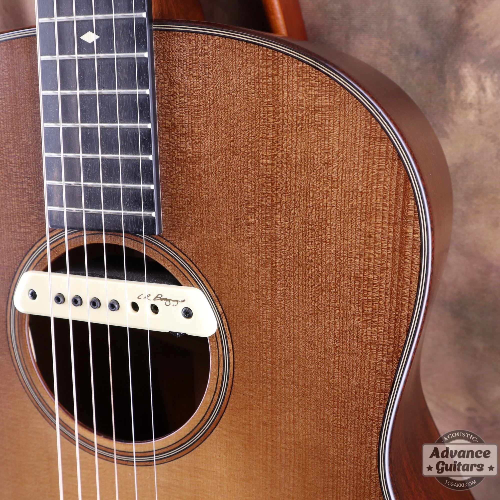 Taylor 2019年製 Builder’s Edition 517
