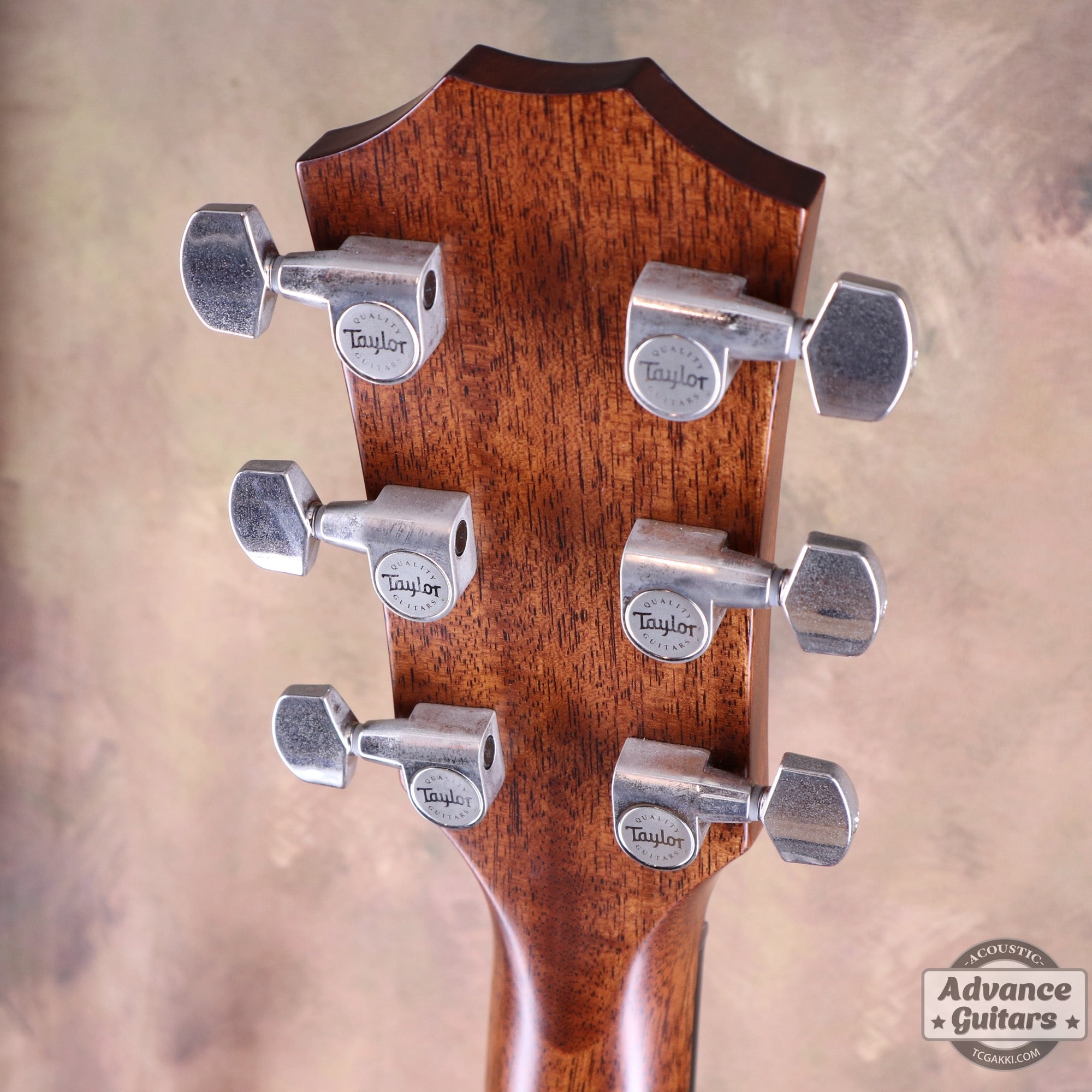 Taylor 2019年製 Builder’s Edition 517