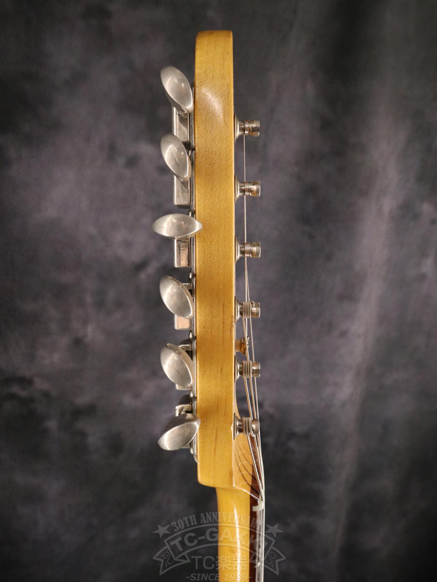Fender Japan JG66