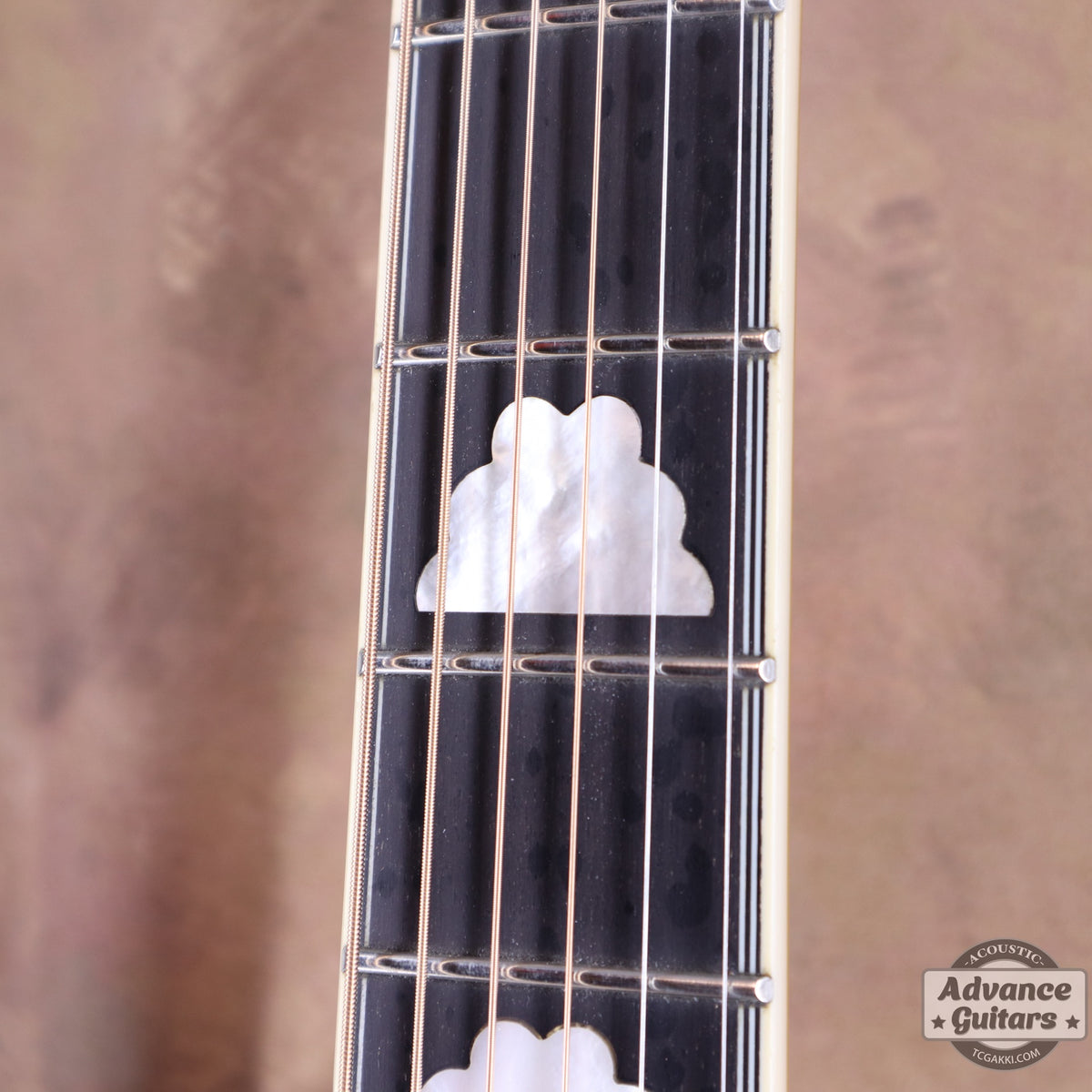 Epiphone 2023年製 Masterbilt Excellente FT120