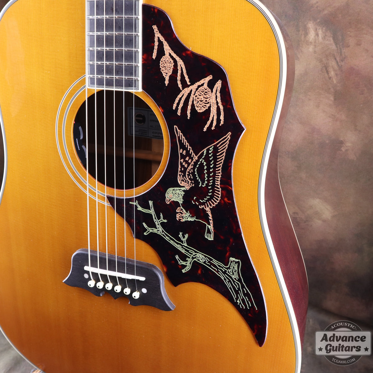 Epiphone 2023年製 Masterbilt Excellente FT120