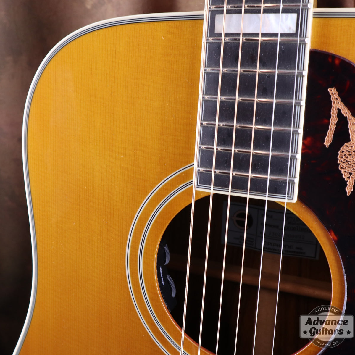 Epiphone 2023年製 Masterbilt Excellente FT120