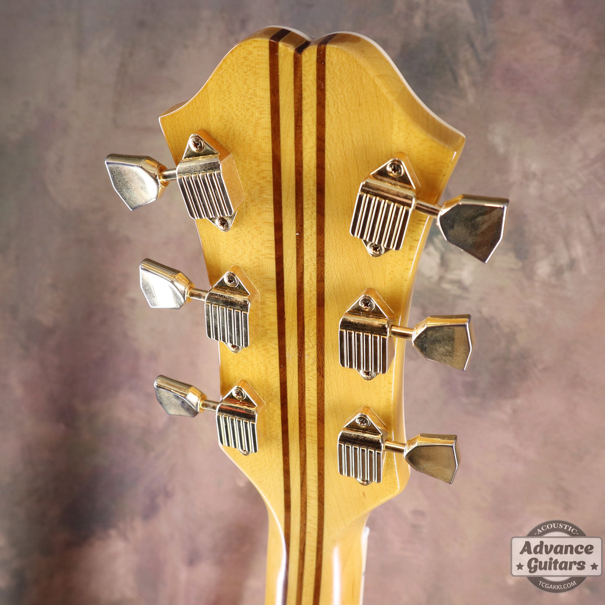 Epiphone 2023年製 Masterbilt Excellente FT120