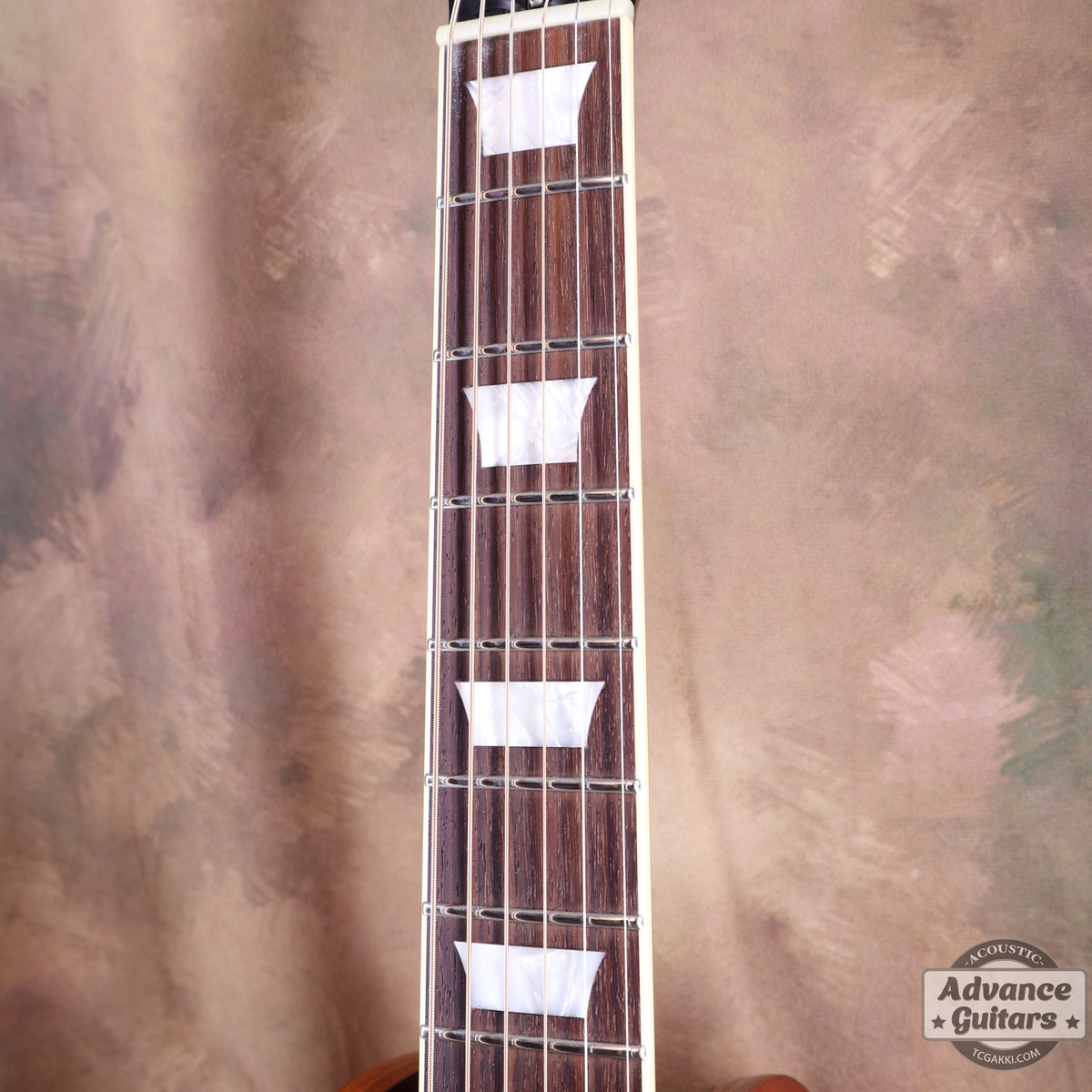 Archtop Tribute AT50C
