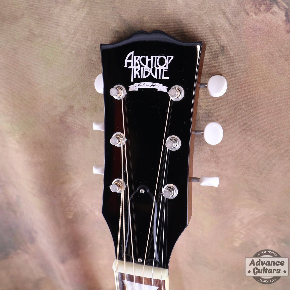 Archtop Tribute AT50C