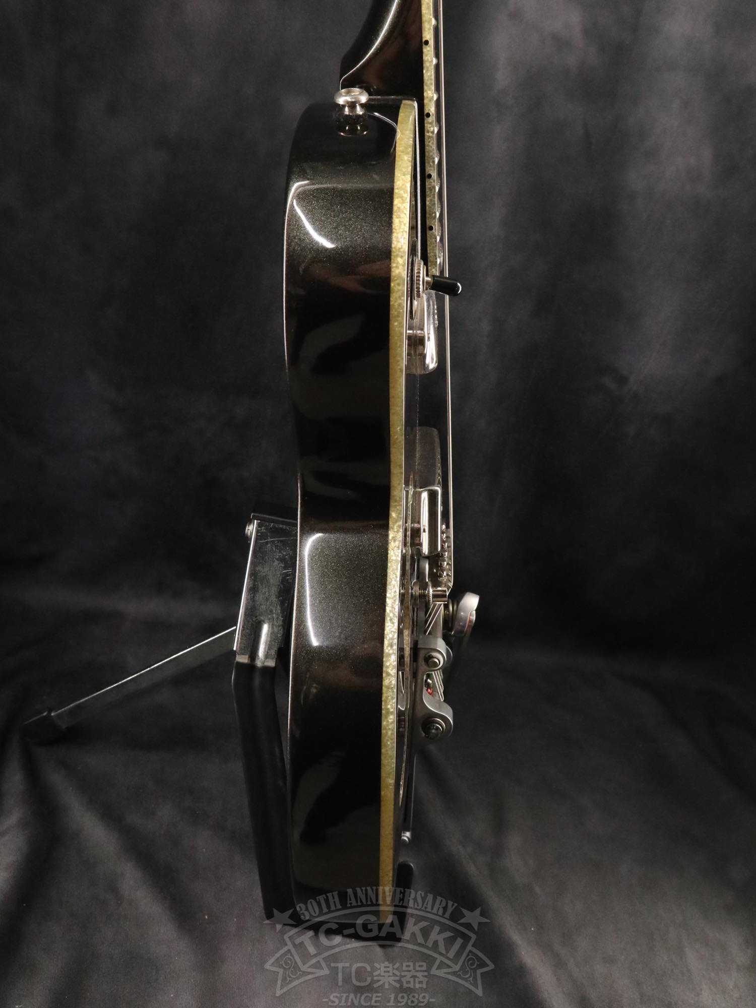 Epiphone WILDKAT