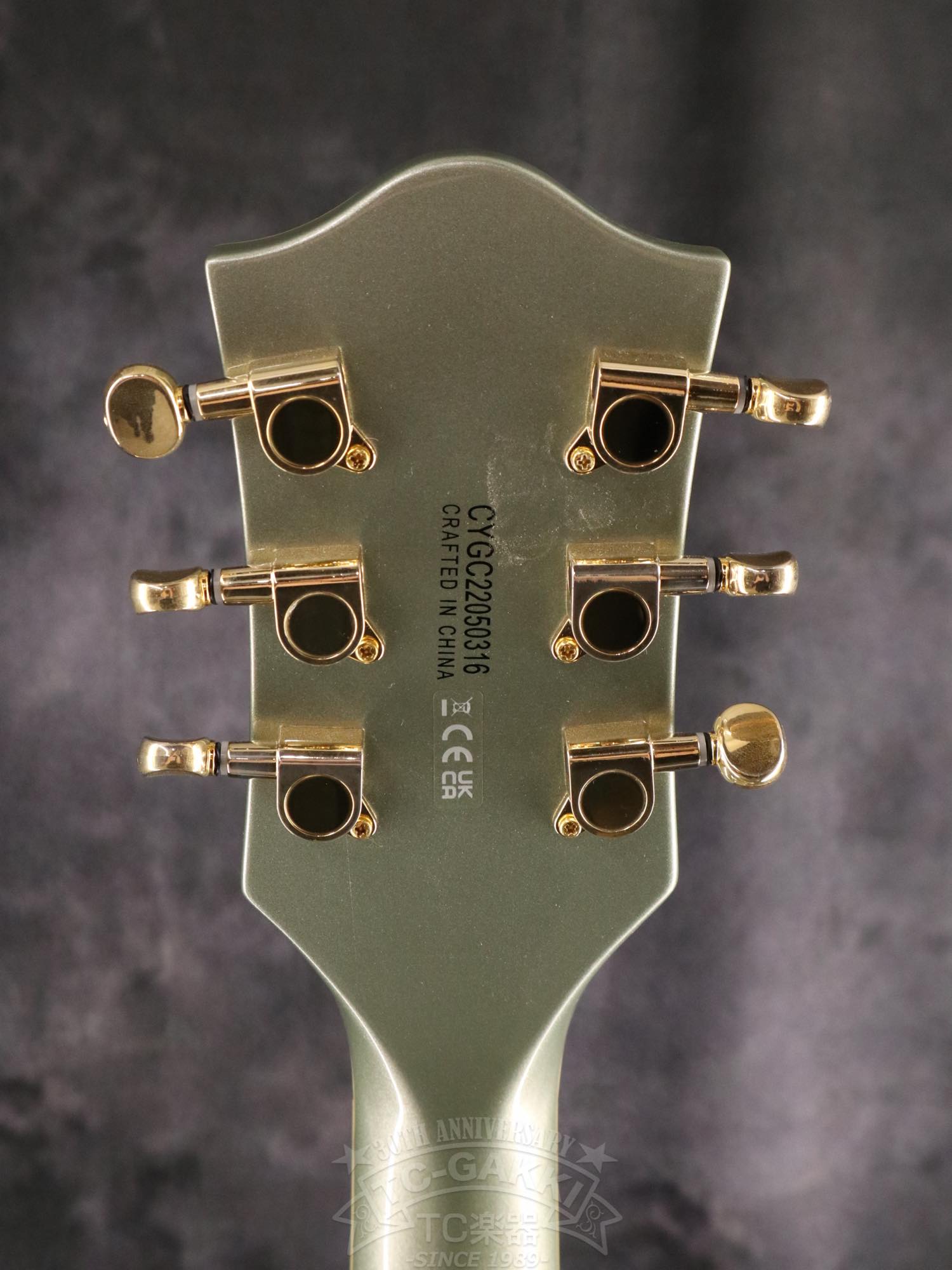 Gretsch G5655TG Electromatic
