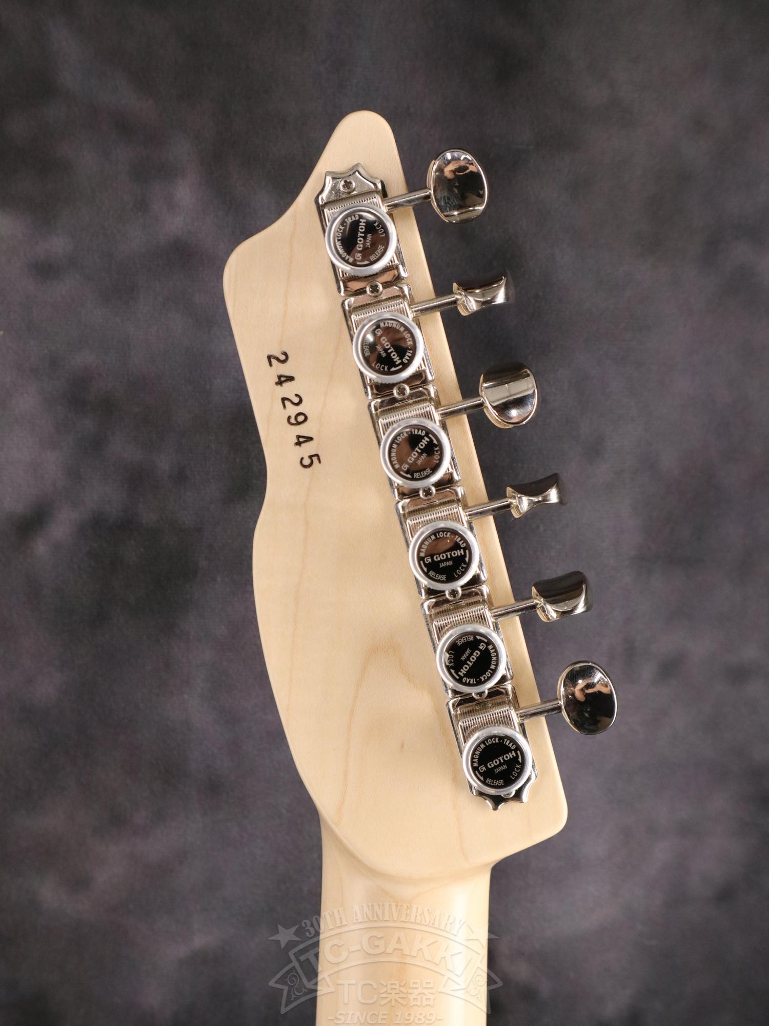 SAITO Guitars S-622CS Mod