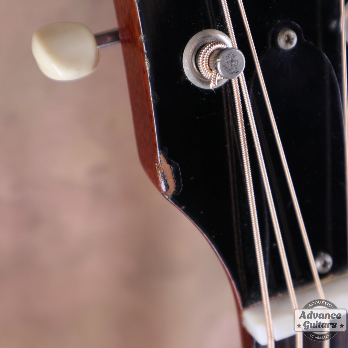 Gibson 1964年製 J-45