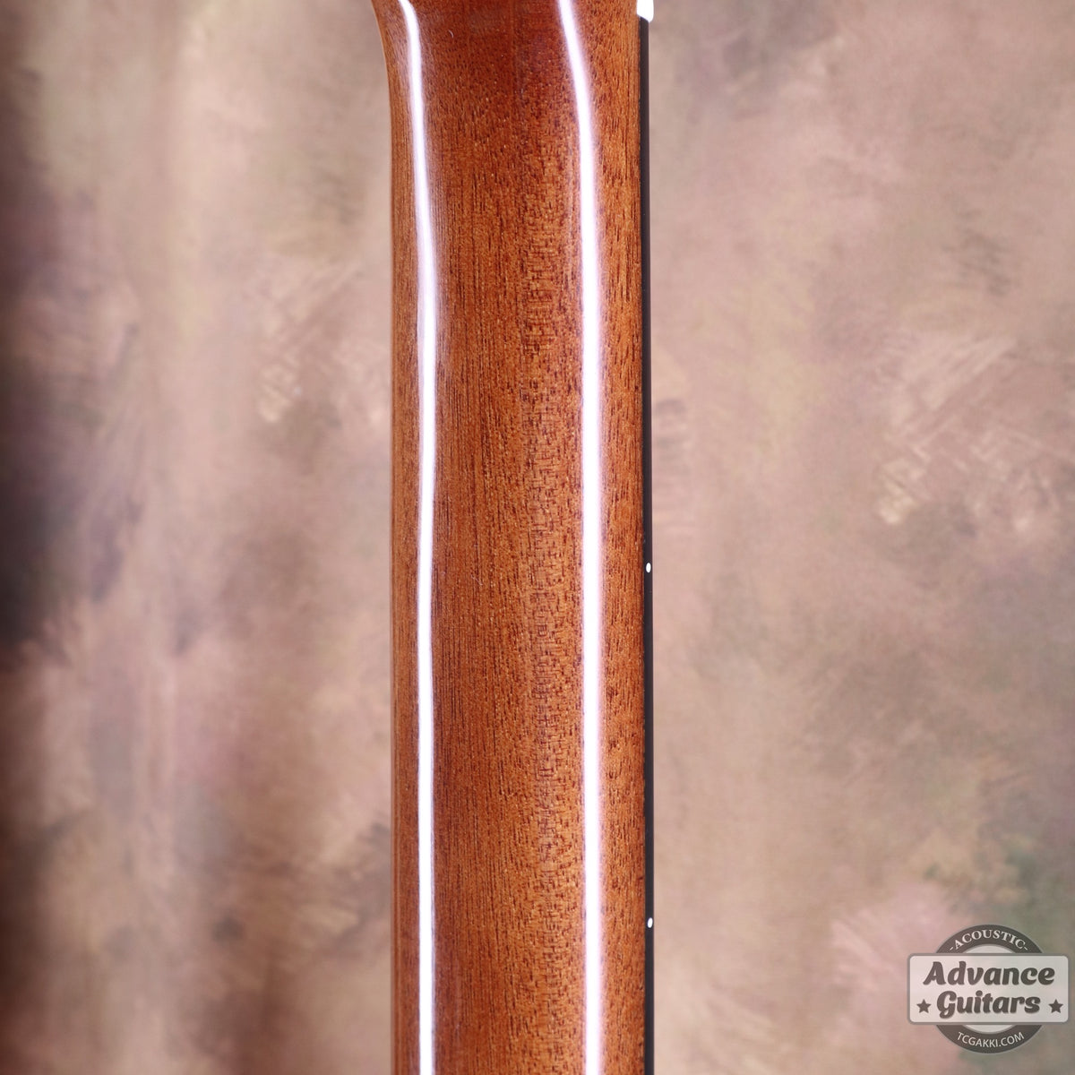 Fender CD-60CE