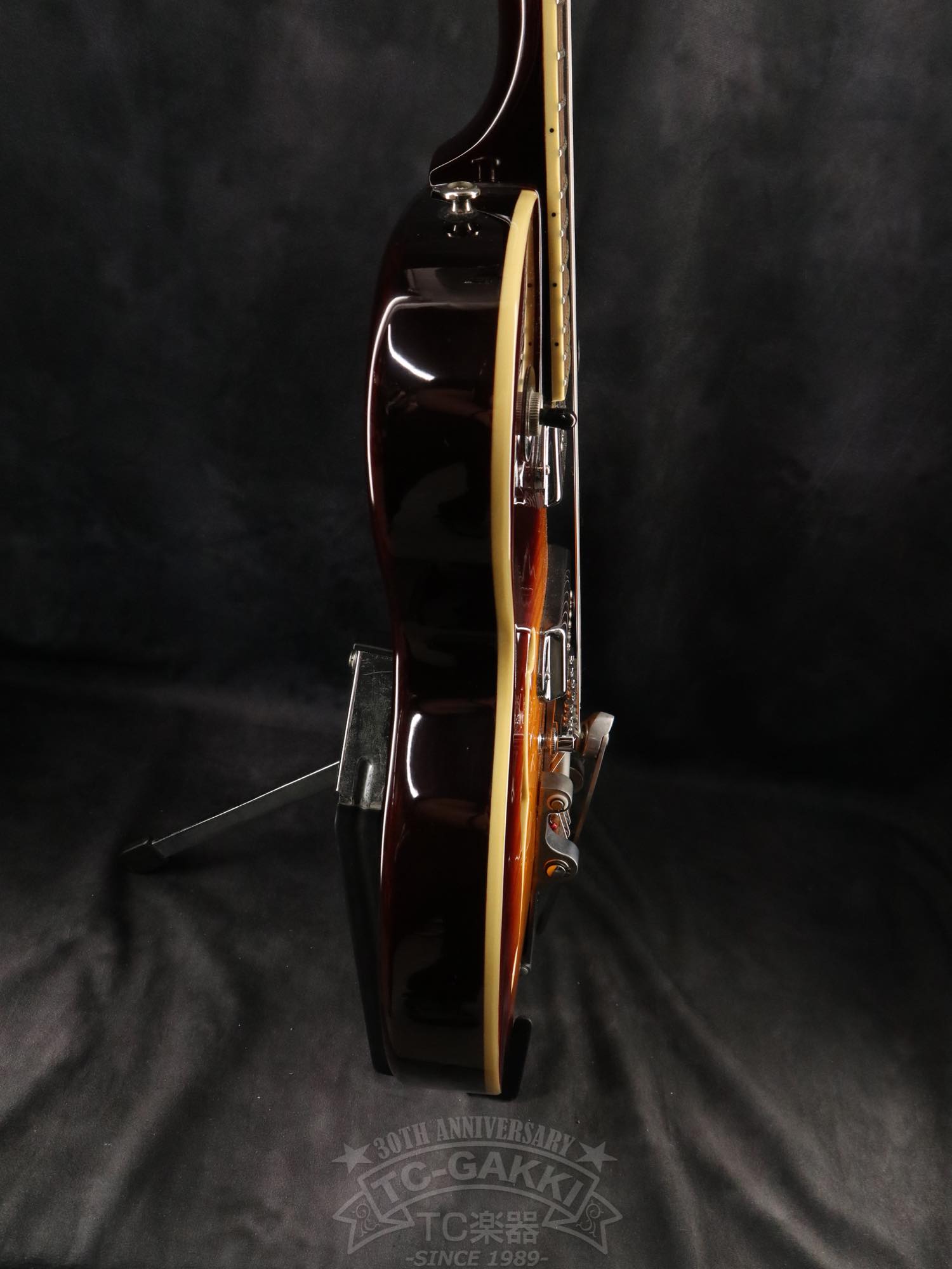 Epiphone Wildkat