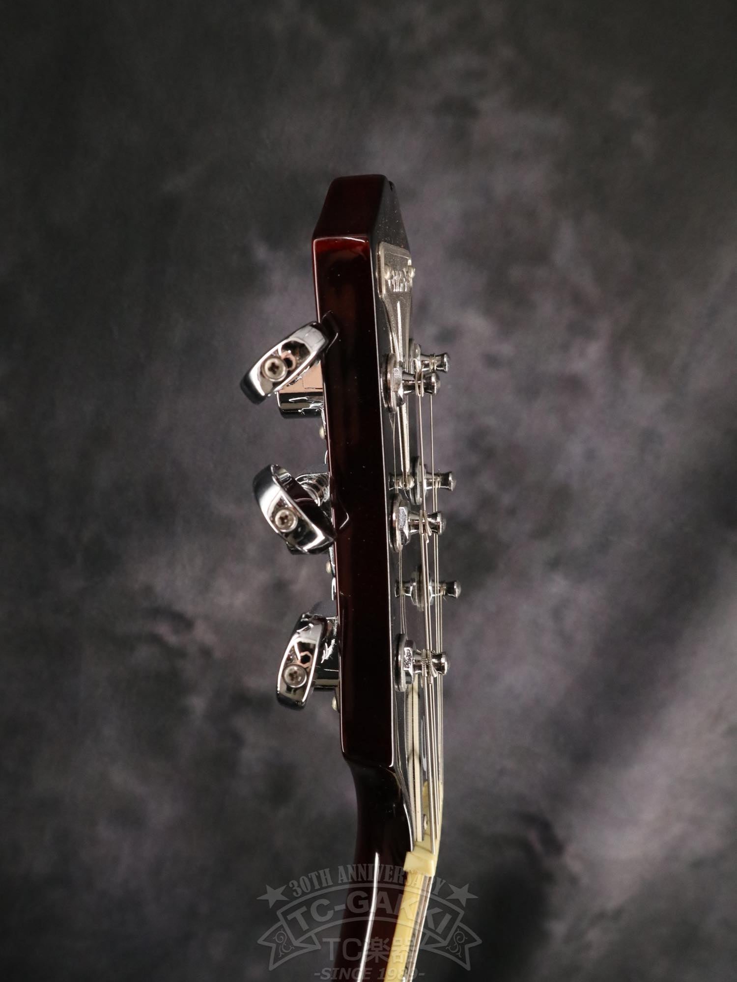 Epiphone Wildkat