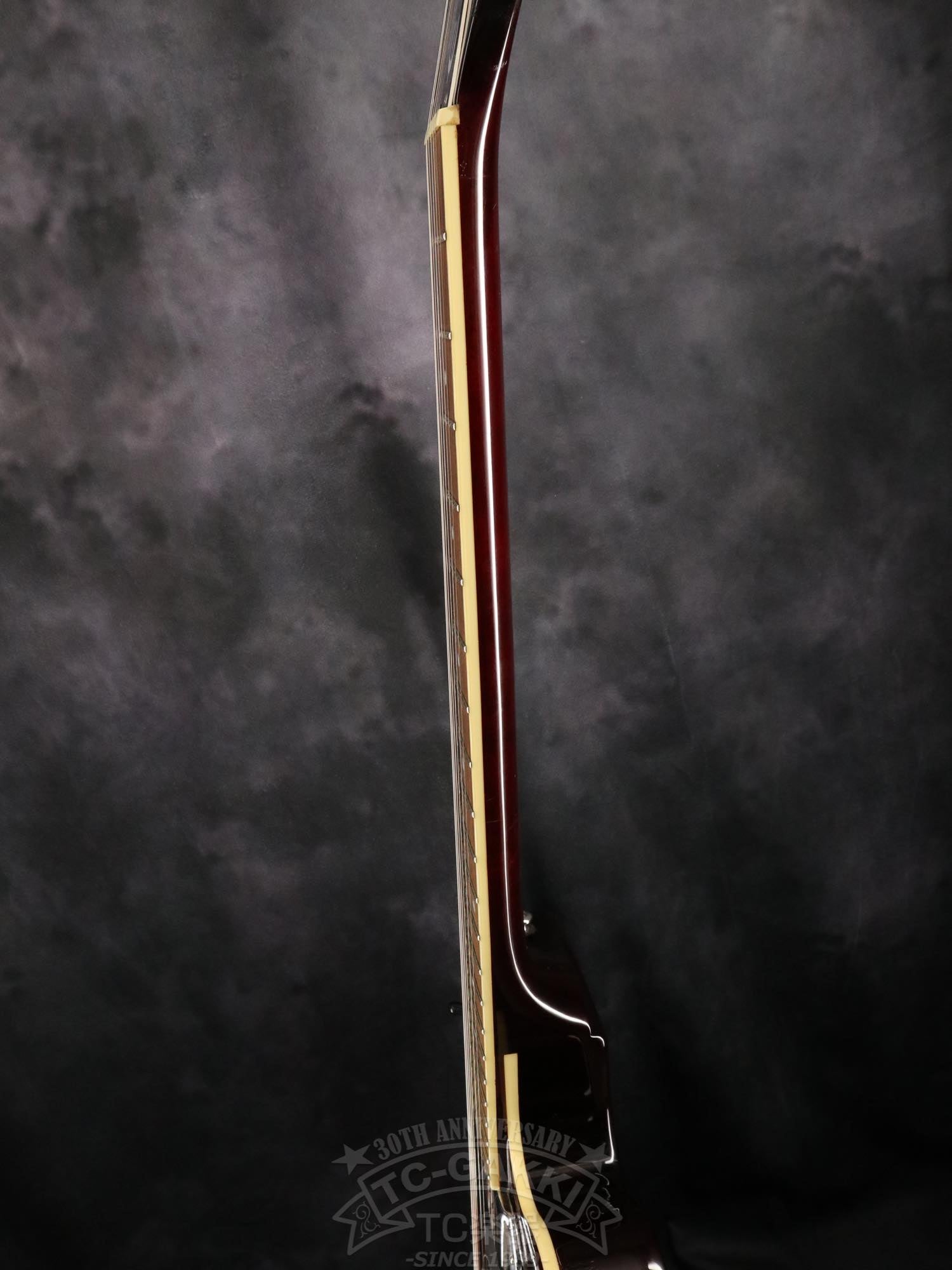 Epiphone Wildkat