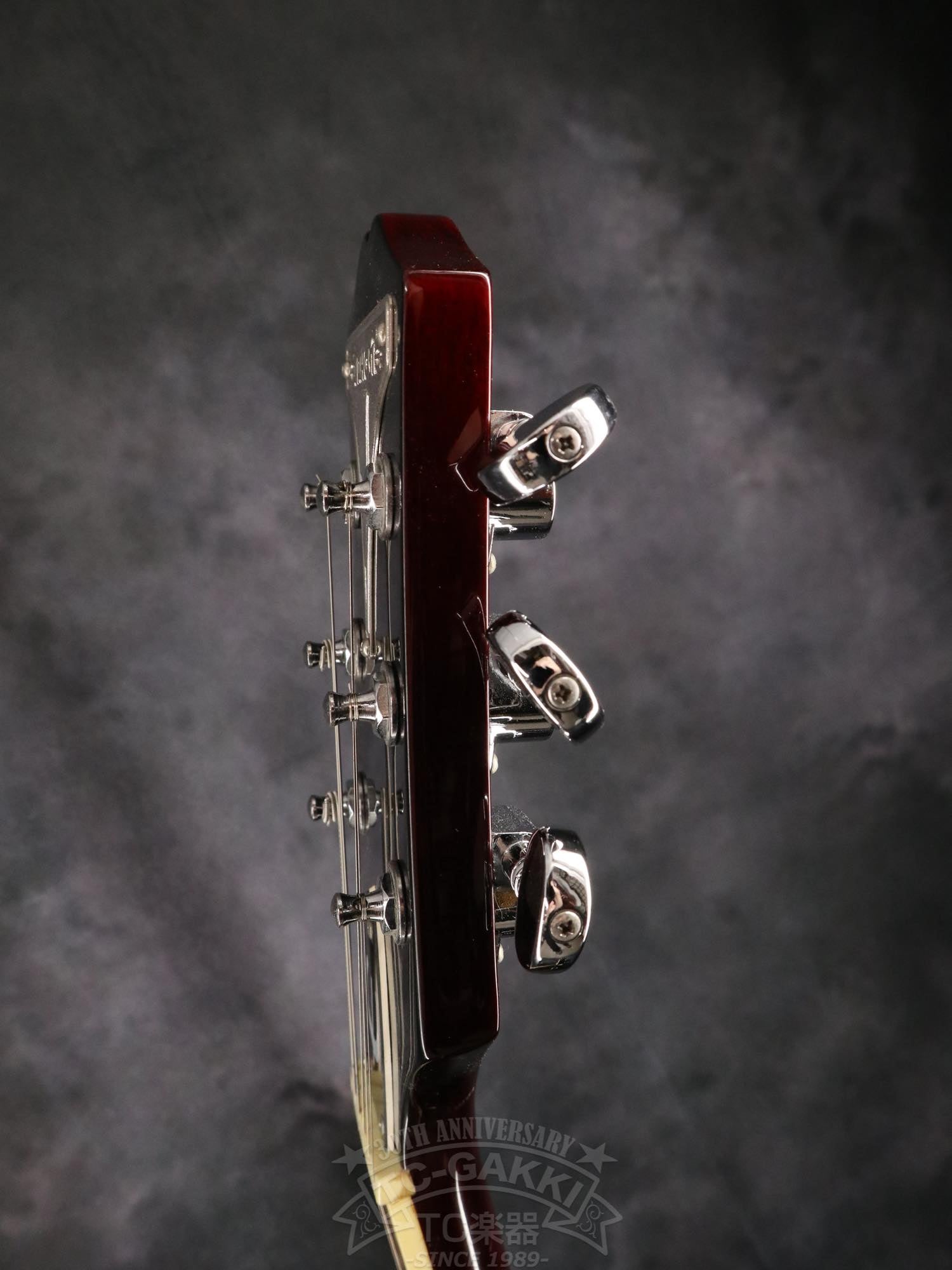 Epiphone Wildkat