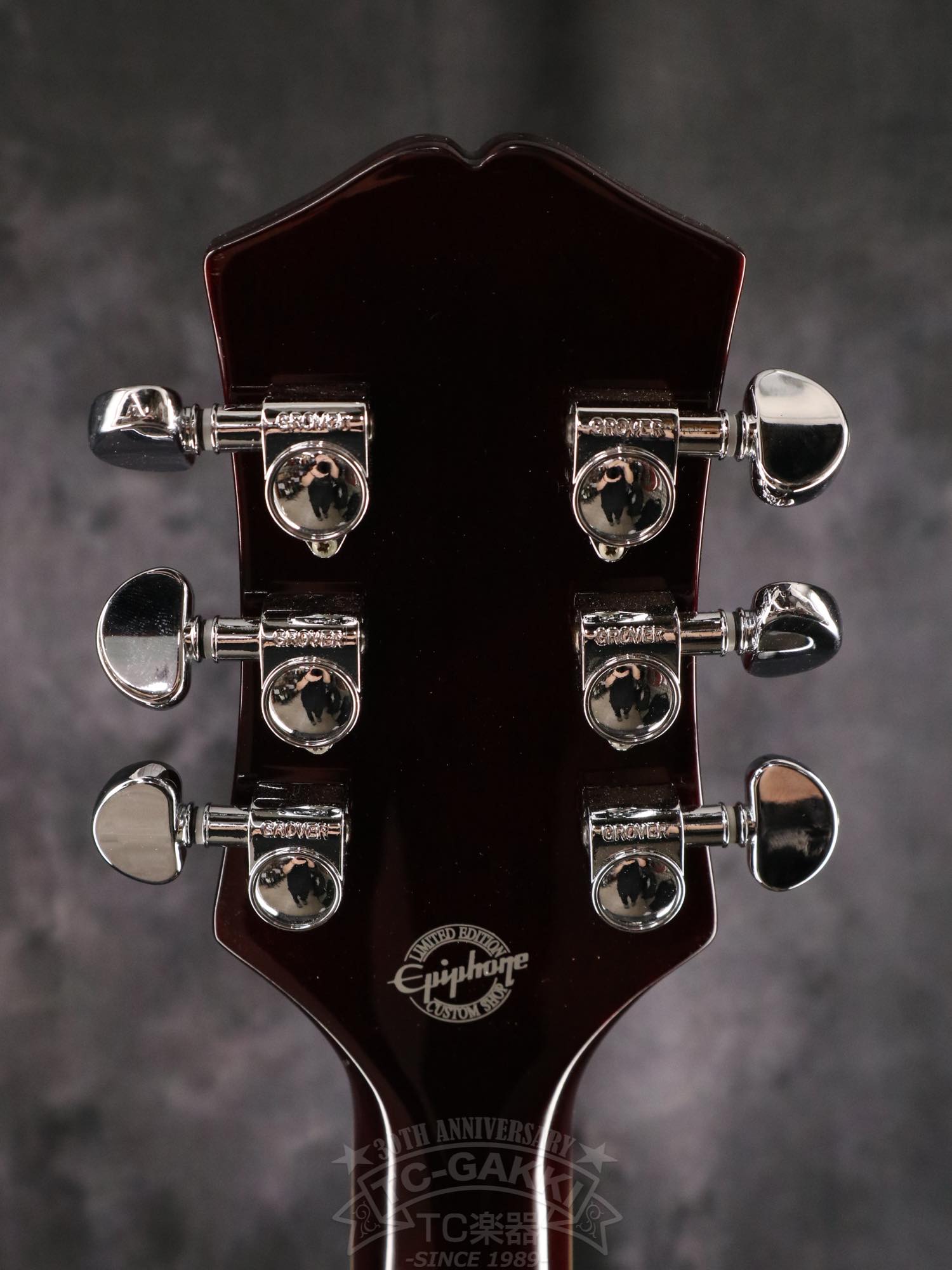 Epiphone Wildkat
