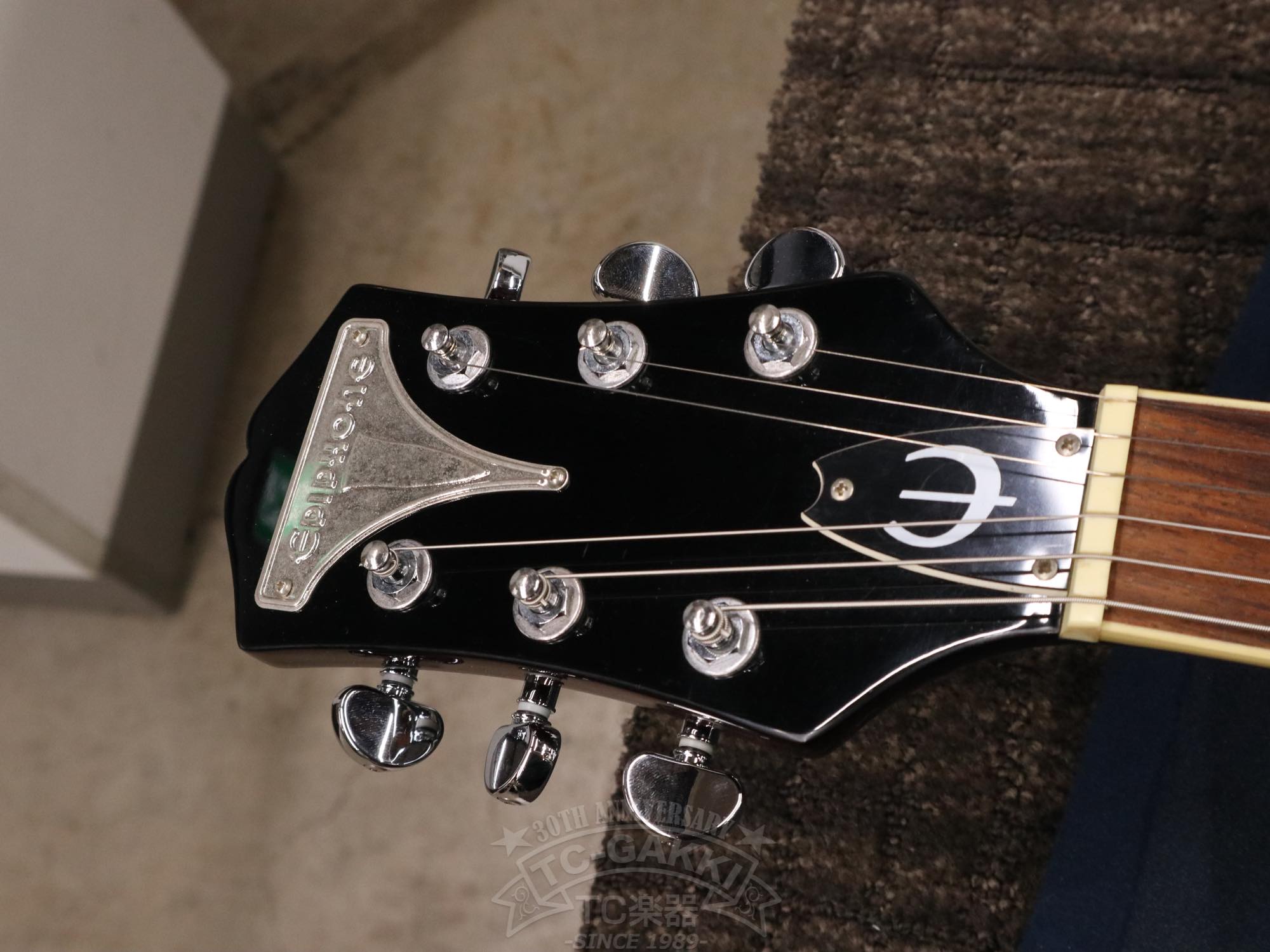 Epiphone Wildkat