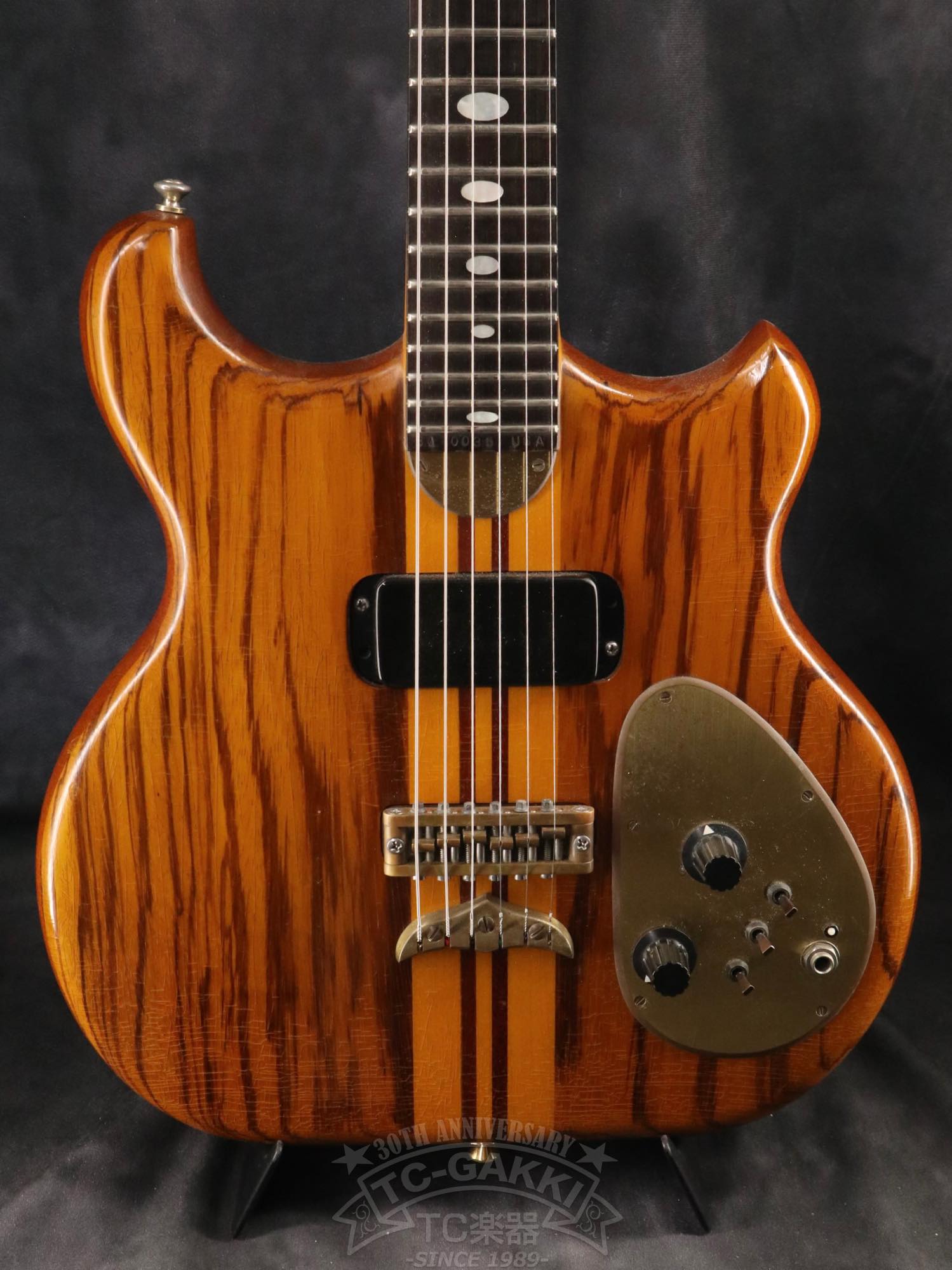 Alembic Distillat Gitarre