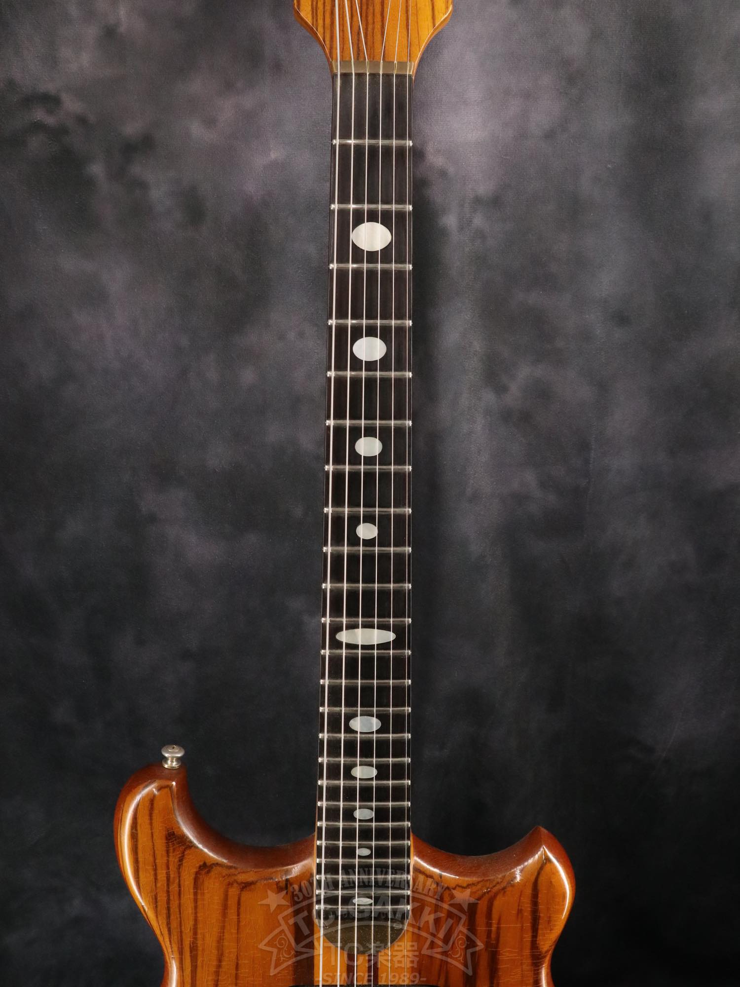 Alembic Distillat Gitarre