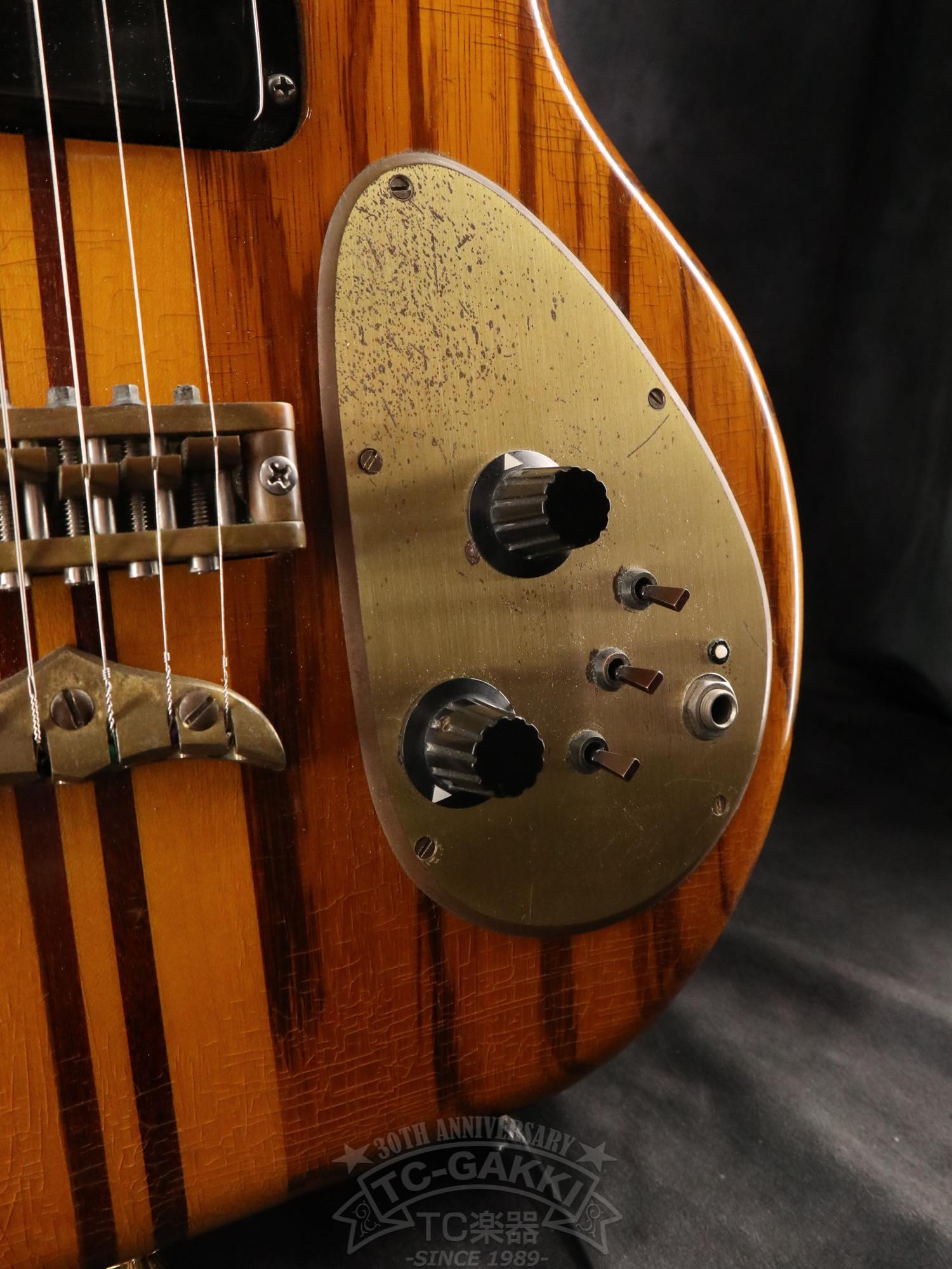 Alembic Distillat Gitarre