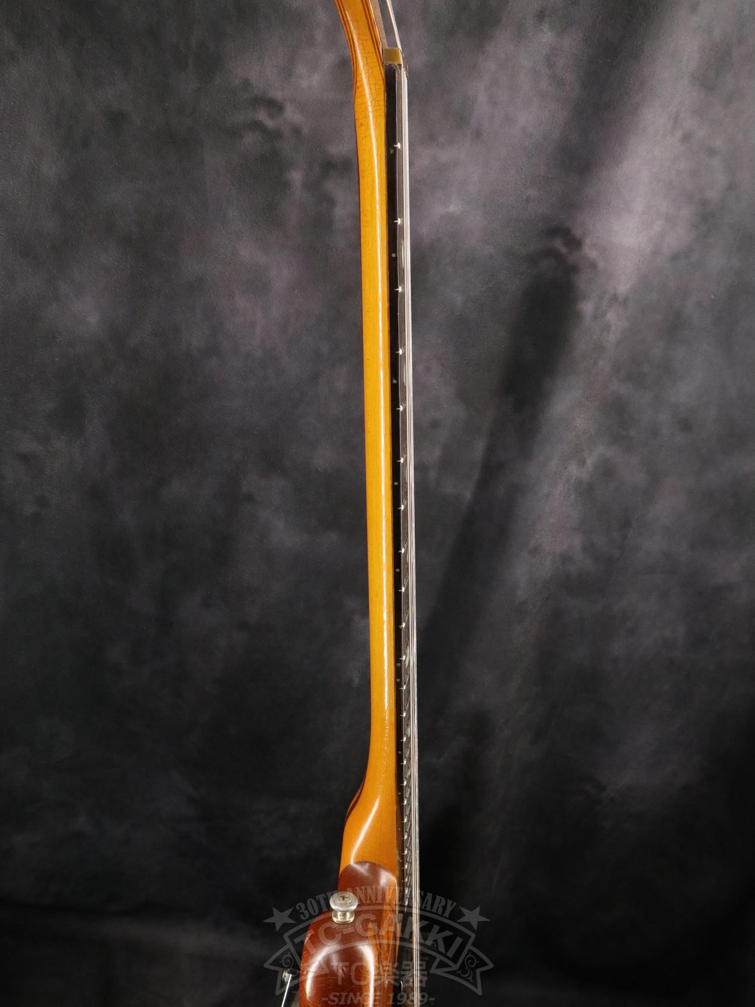 Alembic Distillat Gitarre