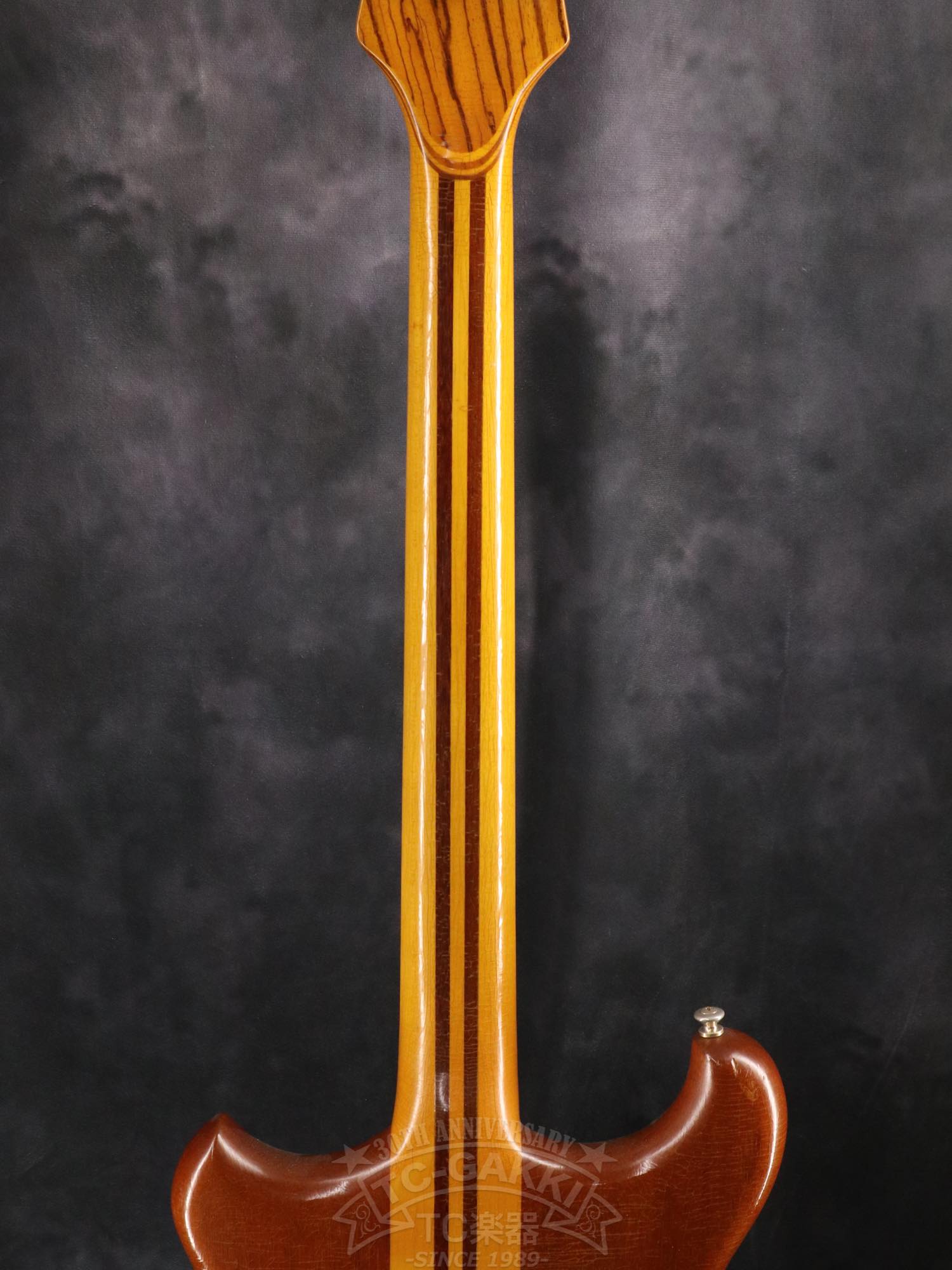 Alembic Distillat Gitarre