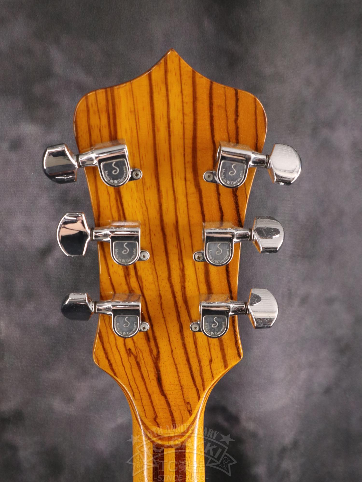 Alembic Distillat Gitarre