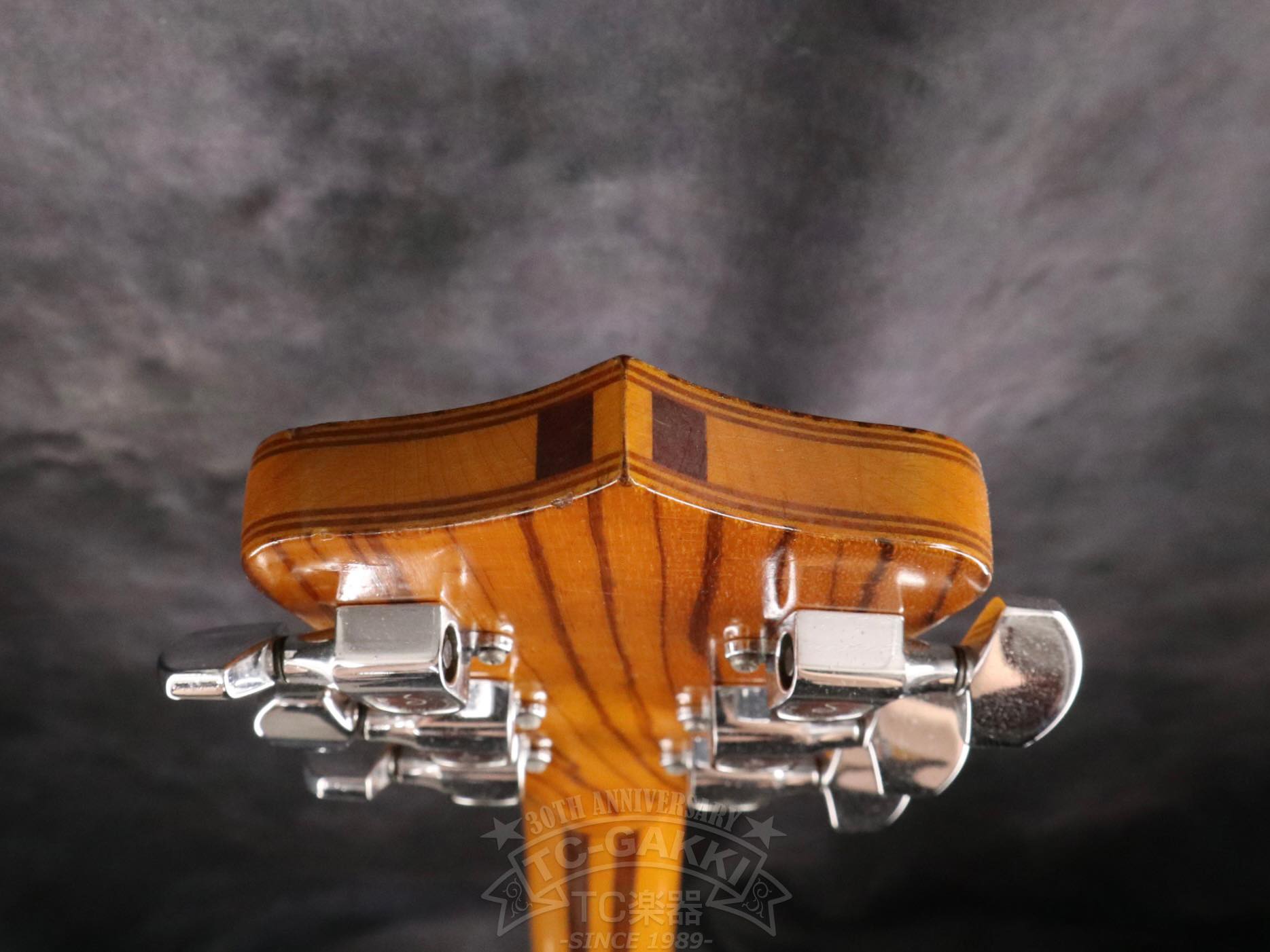 Alembic Distillat Gitarre