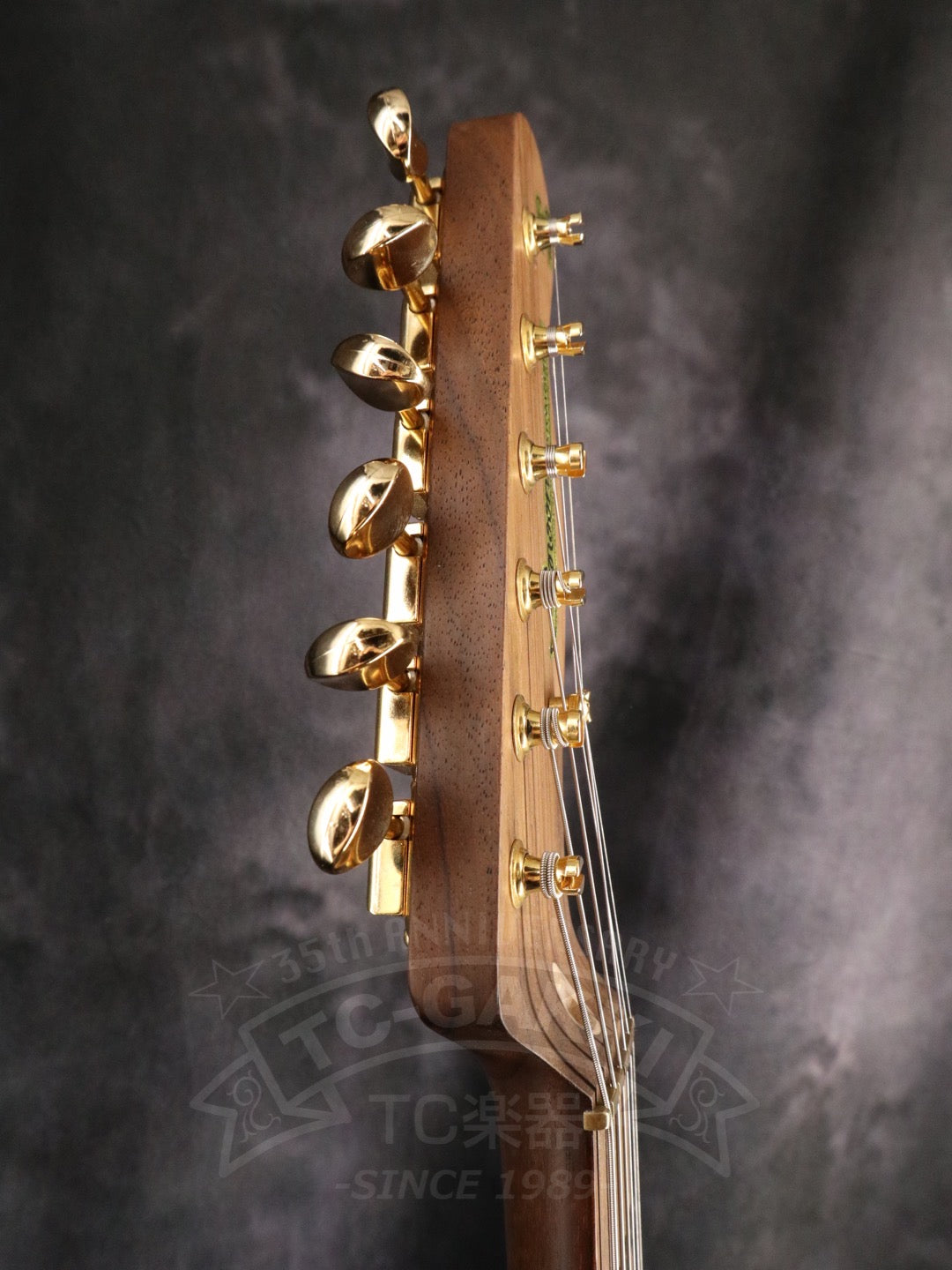 TE-C Rosewood Neck