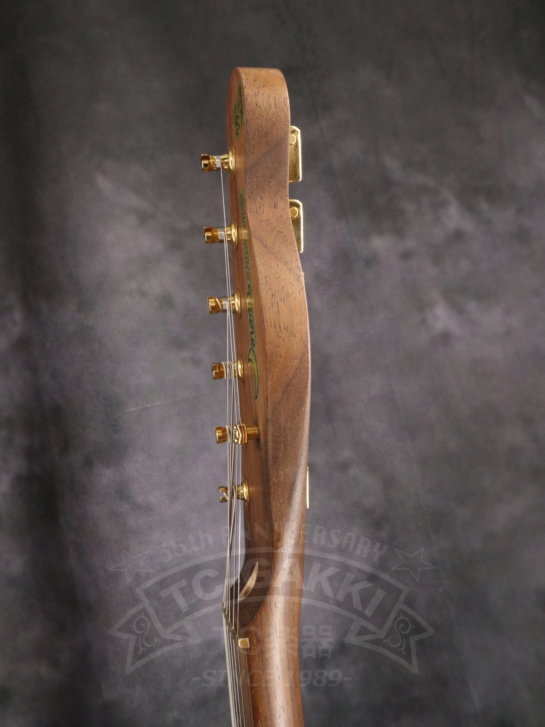 TE-C Rosewood Neck