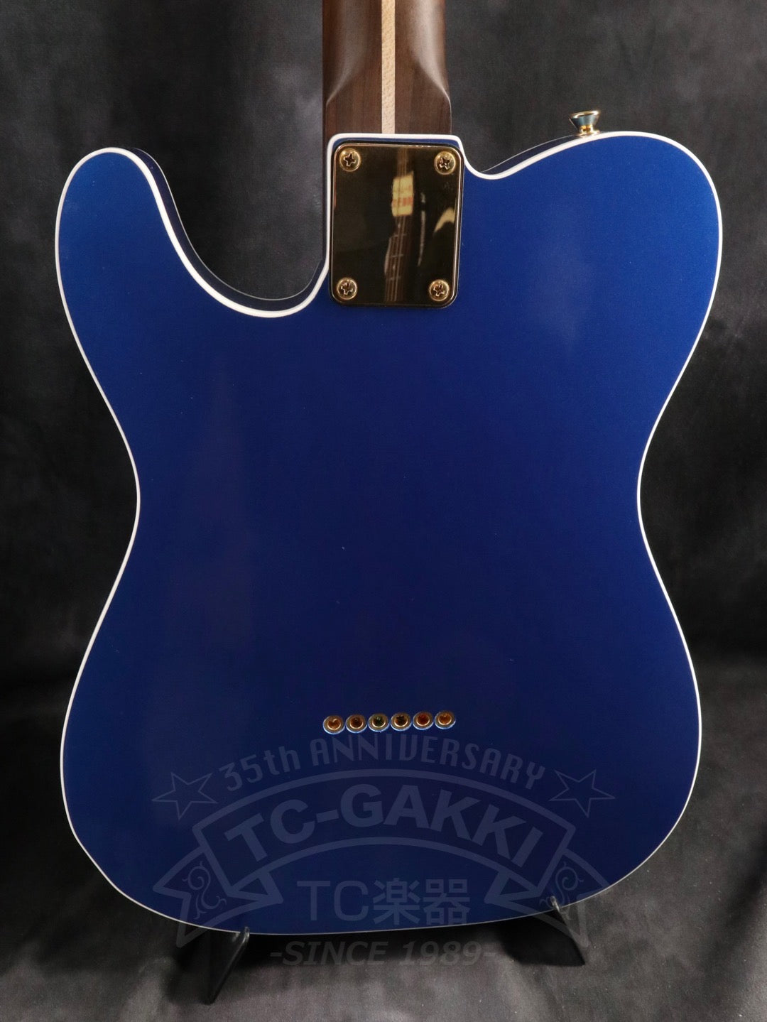 TE-C Rosewood Neck