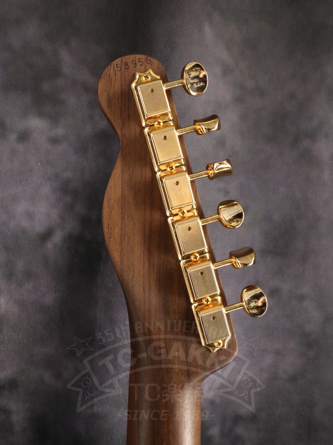 TE-C Rosewood Neck
